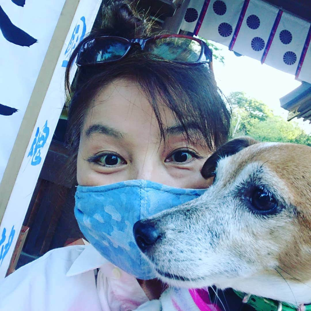 愛華みれさんのインスタグラム写真 - (愛華みれInstagram)「大國魂神社🎵に、、、  ふらり、散歩‼️😍なんかやってる☺️⤴️⤴️  燈籠🎶わぁーい💗いいね  最後は、独り占め‼️🐕のここる、❤️走って、、😁だったけど💦💦  ここる、は、、  お臭いに😁夢中‼️  秋風が、気持ち良かったね～🎵」9月28日 10時47分 - mireaika