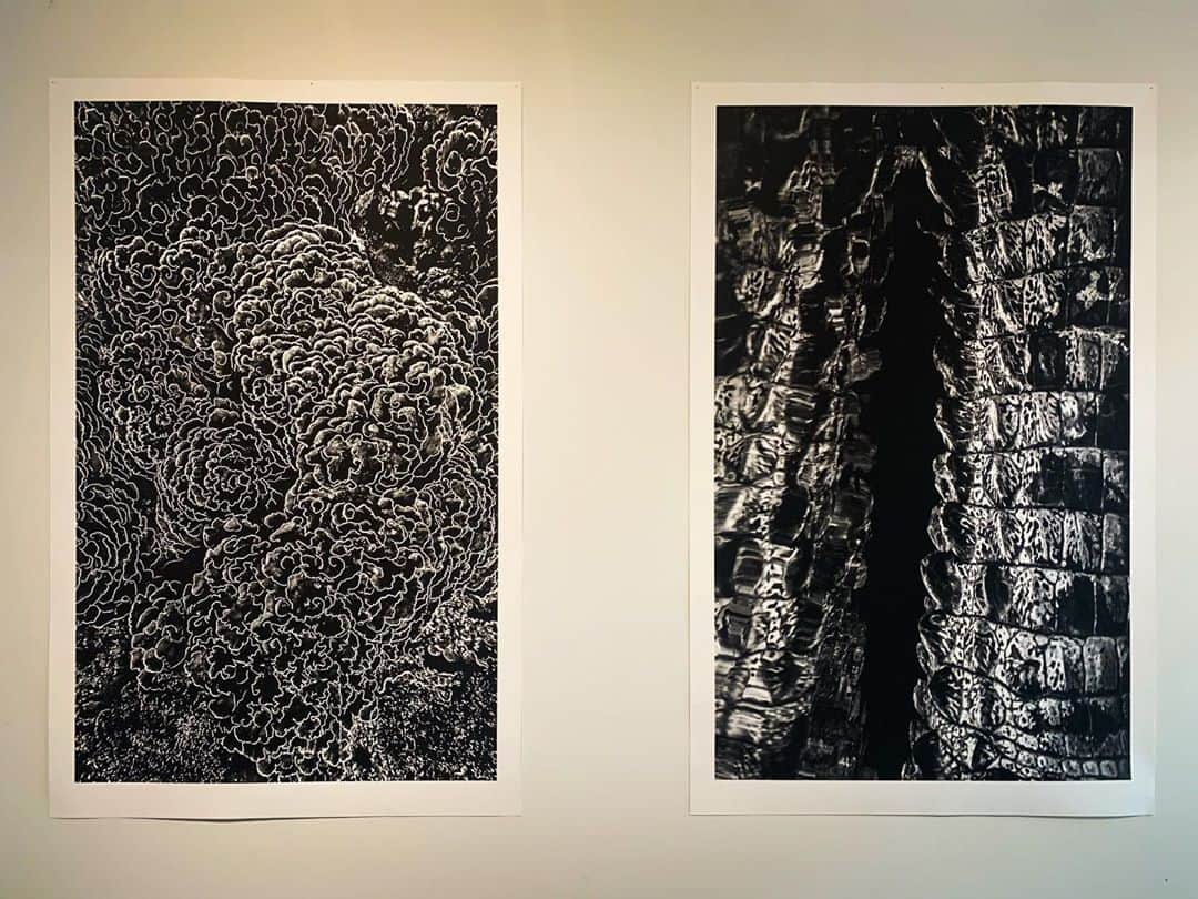 二木あいのグルメインスタ