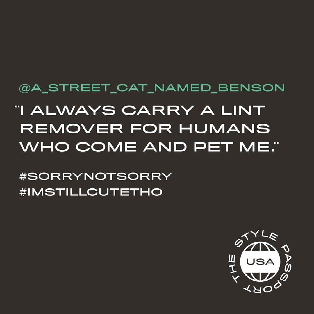 I.T IS INSPIRATIONさんのインスタグラム写真 - (I.T IS INSPIRATIONInstagram)「T H E  S T Y L E  P A S S P O R T  📍Baltimore, USA Vol. 4 – Coolest Cat in Town @a_street_cat_named_benson  - With its rich history as a harbour city, Baltimore’s mix of natural and urban terrains make it a future must-visit for adventure seekers. One cool cat who can attest is Benson, a Scottish straight hair with a personality as bright as his signature sunnies. Find out Benson’s favourite activities and pet peeves of the Eastern Shore.  .  Favourite spots in your city? Loch Raven Reservoir, humans go there for the scenic beauty but I go for the ducks and fishes. For food, Pappa’s Seafood Co. crab cakes are the best in town – my dad always shares some with me and they’re purr-fect.    What’s in your bag? I always carry my tuna mousse to stay hydrated, and a hoodie for when it gets cold – the only things you should catch are birds, not colds! #loveyourself    Favourite Brands I love fun and bright sweaters from A BATHING APE and Acne Studios! I only wish they were in my size…   Ideal day trip? The Inner Harbor! The National Aquarium is best for looking at fishes. I also heard from my parents that humans could visit maritime museums to learn about my city’s history.  - Learn more about the furry gentleman on The Style Passport. Coming soon on ITeSHOP.com.  - #ITHK #ITisInspiration #ittoo #TheStylePassport #ITeSHOP #tripadvisor #ITeSHOPxTripadvisor #babymilo #BAPE #catlover #cats #catsofinstagram #cutecats  #fashion #travel #OOTD」9月28日 11時35分 - ithk