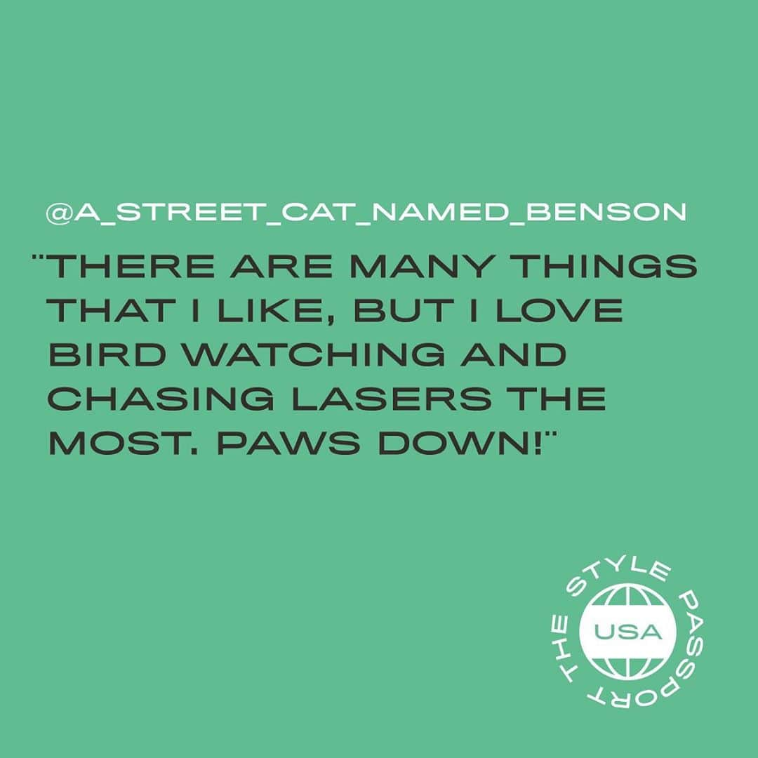 I.T IS INSPIRATIONさんのインスタグラム写真 - (I.T IS INSPIRATIONInstagram)「T H E  S T Y L E  P A S S P O R T  📍Baltimore, USA Vol. 4 – Coolest Cat in Town @a_street_cat_named_benson  - With its rich history as a harbour city, Baltimore’s mix of natural and urban terrains make it a future must-visit for adventure seekers. One cool cat who can attest is Benson, a Scottish straight hair with a personality as bright as his signature sunnies. Find out Benson’s favourite activities and pet peeves of the Eastern Shore.  .  Favourite spots in your city? Loch Raven Reservoir, humans go there for the scenic beauty but I go for the ducks and fishes. For food, Pappa’s Seafood Co. crab cakes are the best in town – my dad always shares some with me and they’re purr-fect.    What’s in your bag? I always carry my tuna mousse to stay hydrated, and a hoodie for when it gets cold – the only things you should catch are birds, not colds! #loveyourself    Favourite Brands I love fun and bright sweaters from A BATHING APE and Acne Studios! I only wish they were in my size…   Ideal day trip? The Inner Harbor! The National Aquarium is best for looking at fishes. I also heard from my parents that humans could visit maritime museums to learn about my city’s history.  - Learn more about the furry gentleman on The Style Passport. Coming soon on ITeSHOP.com.  - #ITHK #ITisInspiration #ittoo #TheStylePassport #ITeSHOP #tripadvisor #ITeSHOPxTripadvisor #babymilo #BAPE #catlover #cats #catsofinstagram #cutecats  #fashion #travel #OOTD」9月28日 11時35分 - ithk