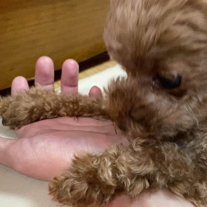 水野智路のインスタグラム
