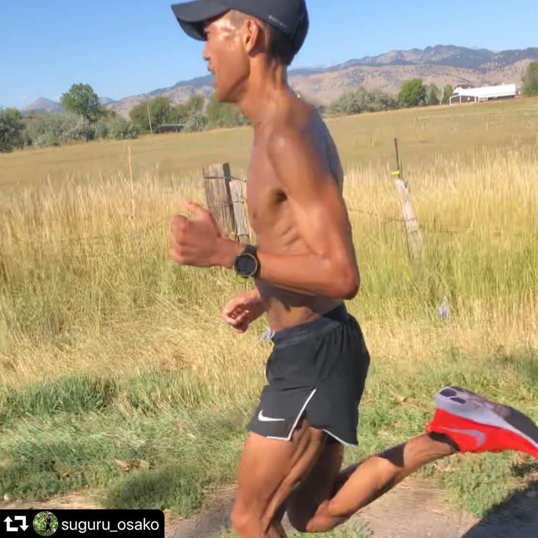 Sunshine Juiceのグルメインスタ