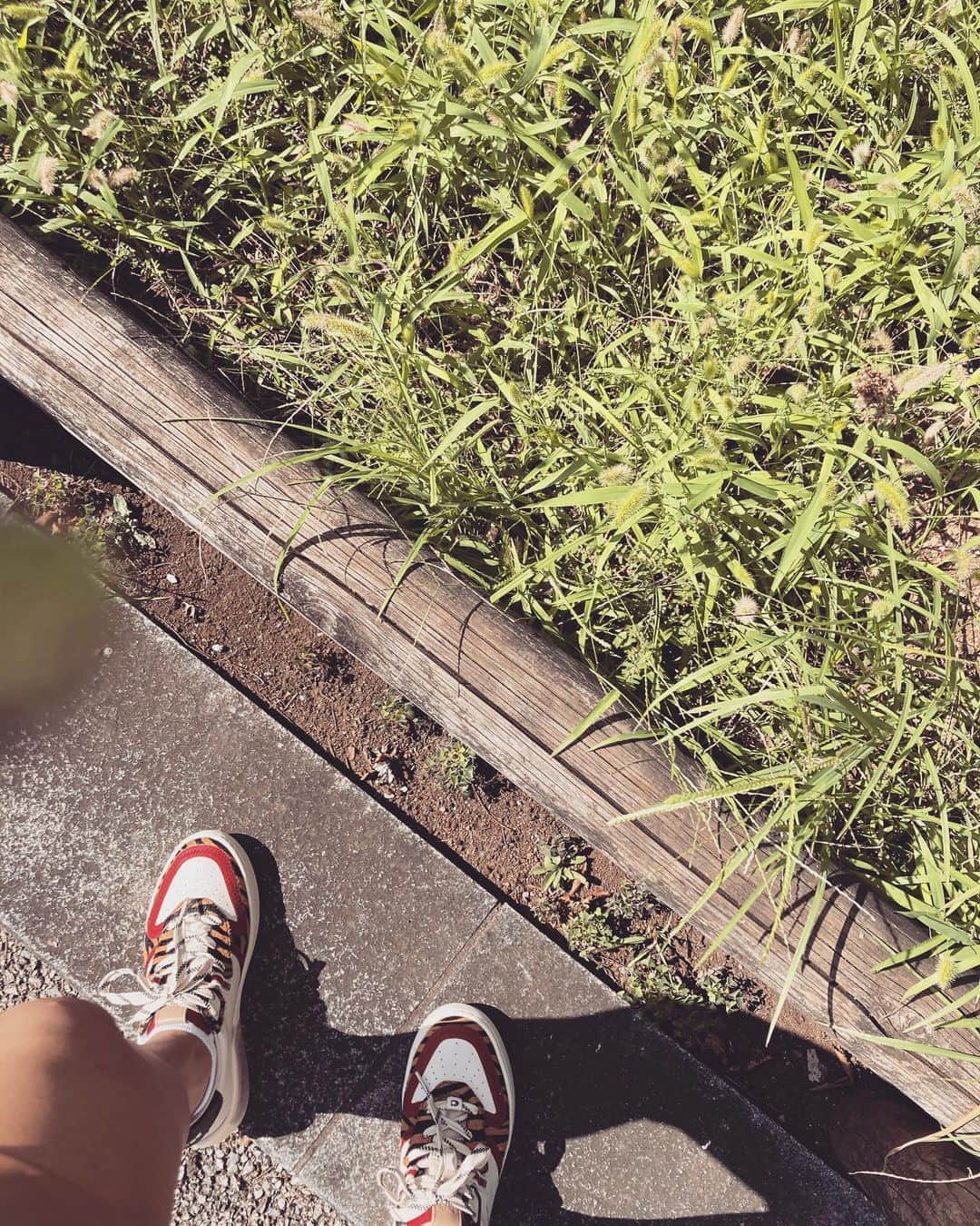 のインスタグラム：「久しぶりの太陽さん 心良き♡ #MAXLINA #coach #sneaker #new」