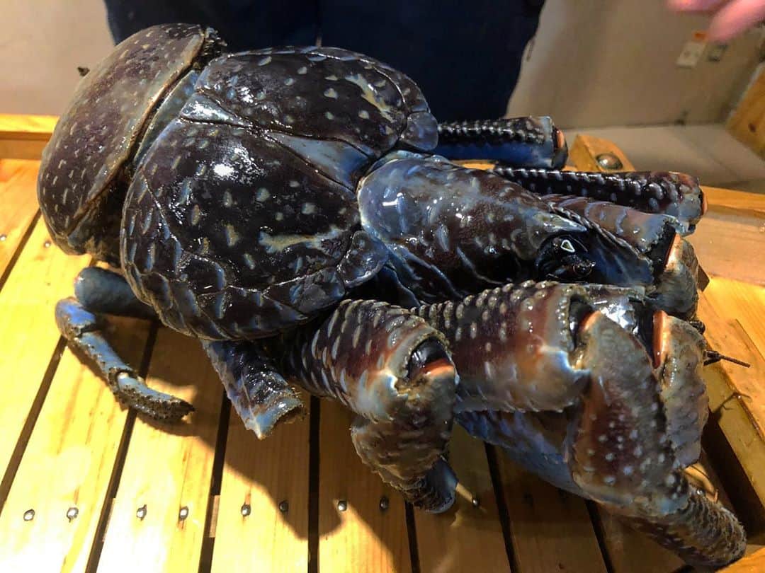 桜咲いおりのグルメインスタ