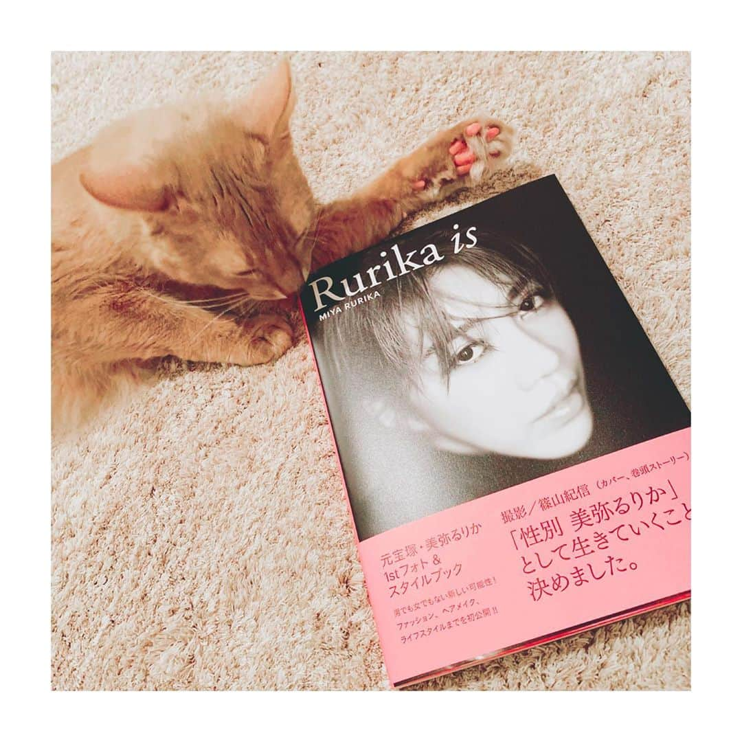 宇月颯さんのインスタグラム写真 - (宇月颯Instagram)「.﻿ .﻿ 美弥るりかさんのSTYLE BOOK📕✨﻿ 『Rurika is 』﻿ るりちゃんの想いがたっっっくさん詰まった見応えたっぷりの唯一無二の素晴らしい一冊❣️﻿ ﻿ 私もメッセージを送らせて頂き、少しだけ載せて頂いております😊🙏﻿ ﻿ 一度では読み足りないのでゆっくりじっくり楽しみたいと思います😻✨﻿ ﻿ ﻿ #美弥るりか さん﻿ #STYLEBOOK﻿ #Rurikais﻿ #こりゃ凄いぞ‼︎﻿ #盛り沢山‼︎﻿ #唯一無二の素晴らしい一冊‼︎﻿ #るっちゃんも沢山♡﻿ #ぽっちゃんも今一番気になる本だよ笑﻿ #ぽっちゃん独占﻿ #私にも見させてくれー﻿ #発売本当におめでとう﻿‼︎ #宇月颯﻿ ﻿」9月28日 13時28分 - hayate_uzuki_official