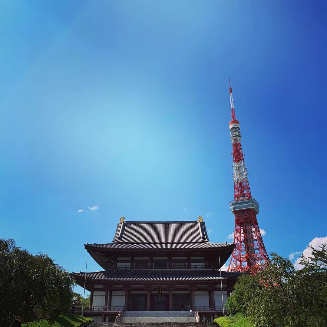 谷口賢志のインスタグラム：「参拝。  #増上寺 #東京タワー」