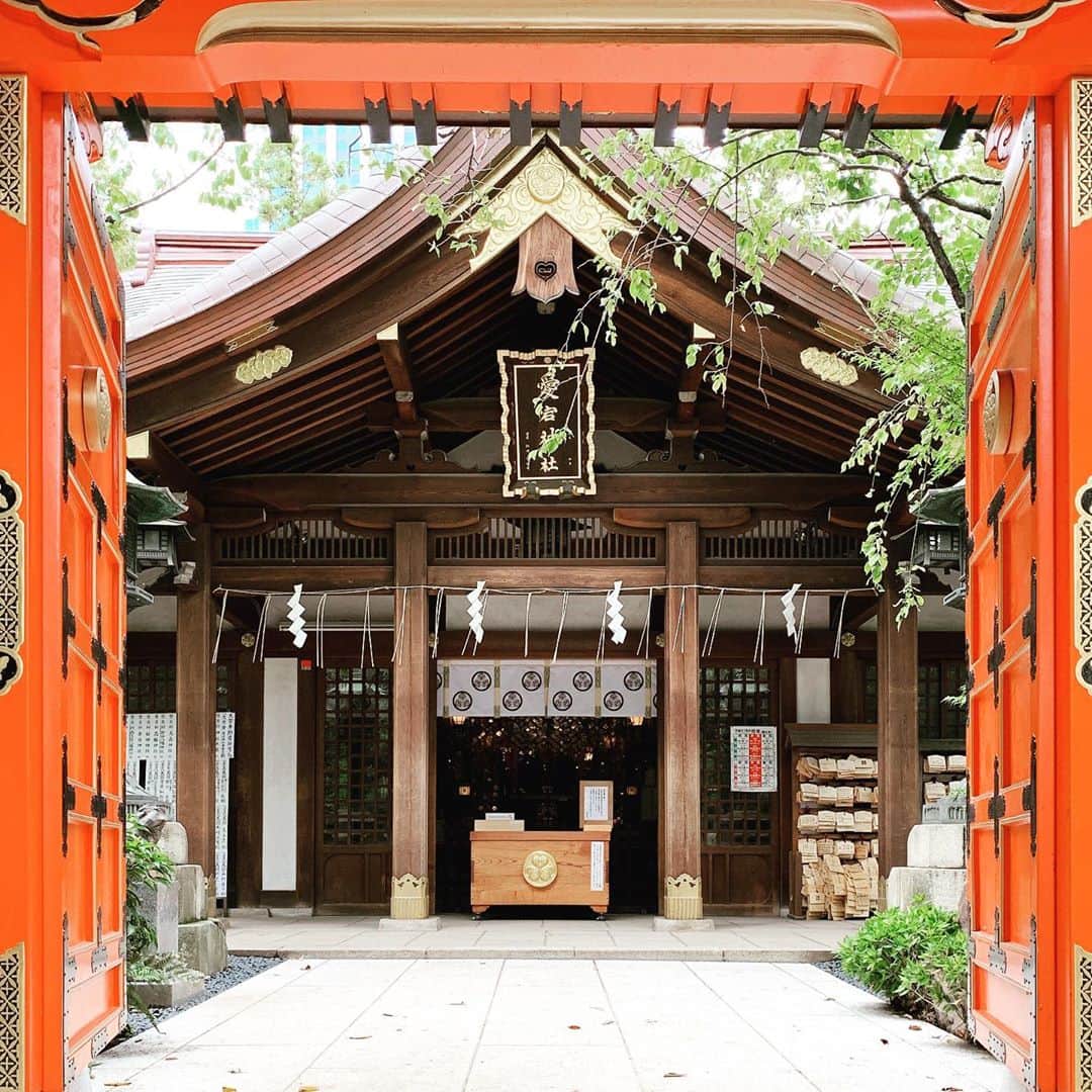 谷口賢志のインスタグラム：「参拝。  #愛宕神社」