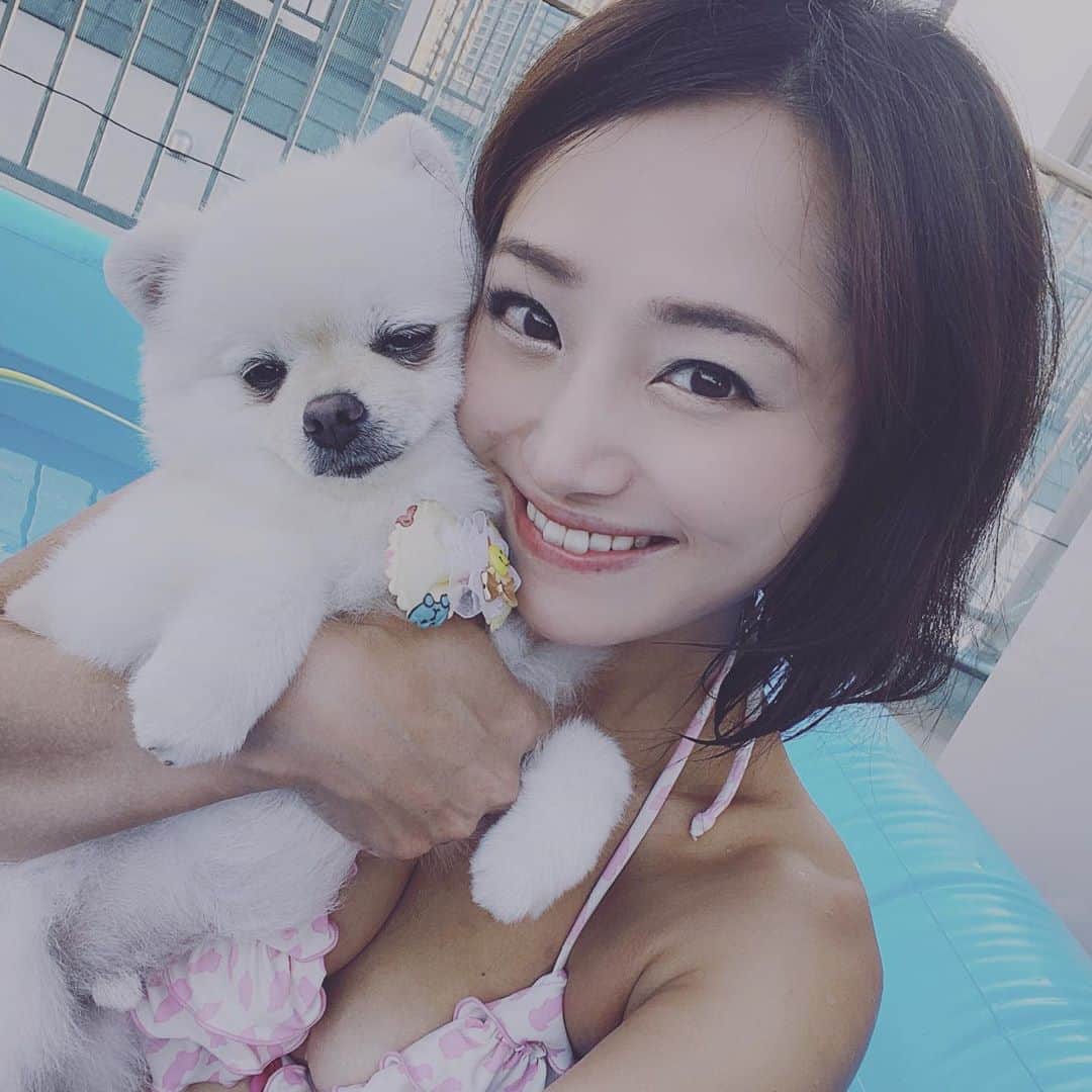 のインスタグラム：「顔近づけるとすぐペロペロしてくるおもちくん♡  #おうちプール　#プール　#愛犬　#おもち　#ポメラニアン　#pomeranian #ポメ　#白ポメ　#わんこ　#犬　#いぬ　#いぬすたぐらむ #inustagram #instadog #dogstagram #dog #pool #👙　#bikini」