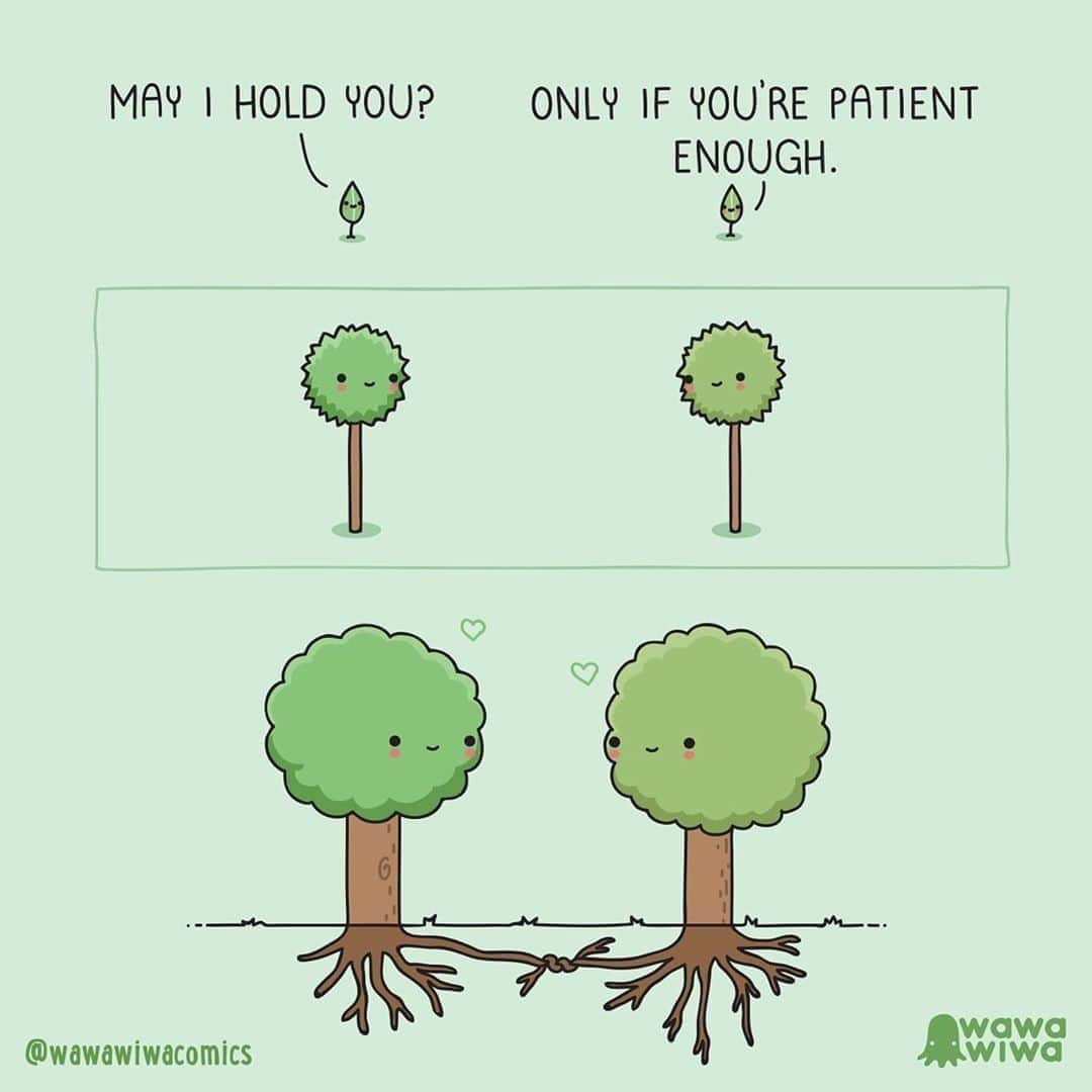 9GAGさんのインスタグラム写真 - (9GAGInstagram)「Practice patience.⠀ Follow @doodles⠀ -⠀ By @wawawiwacomics⠀ -⠀ #comics #illustrations」9月28日 14時04分 - 9gag