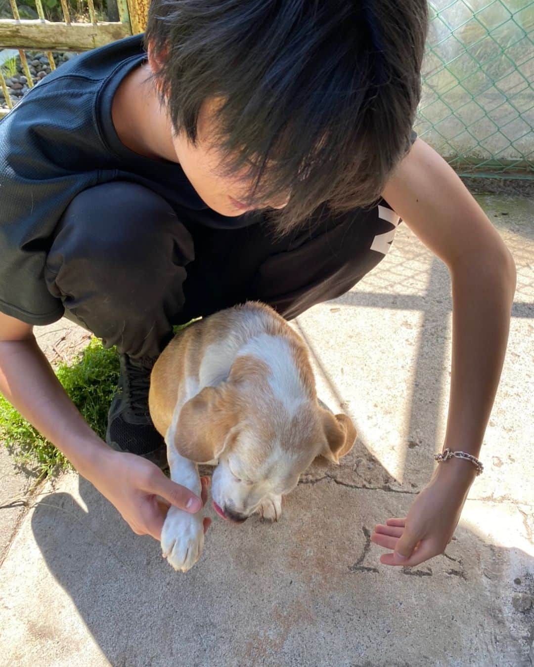 日向亘さんのインスタグラム写真 - (日向亘Instagram)「‪☺︎‬ 僕の愛犬です。 ネネちゃんです。 かわいいです。 人懐っこいです。 ちっちゃいです。 いい子です。  最近涼しくなってきて散歩が気持ちいいですね🍃」9月28日 14時22分 - hyuga_wataru