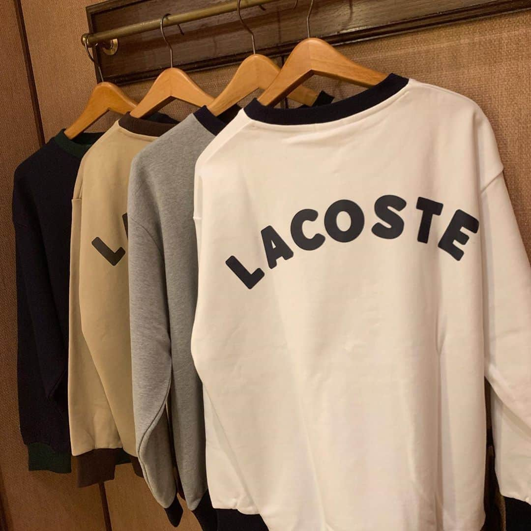 ビームス金沢さんのインスタグラム写真 - (ビームス金沢Instagram)「new  arrival  #lacoste」9月28日 14時31分 - beams_kanazawa