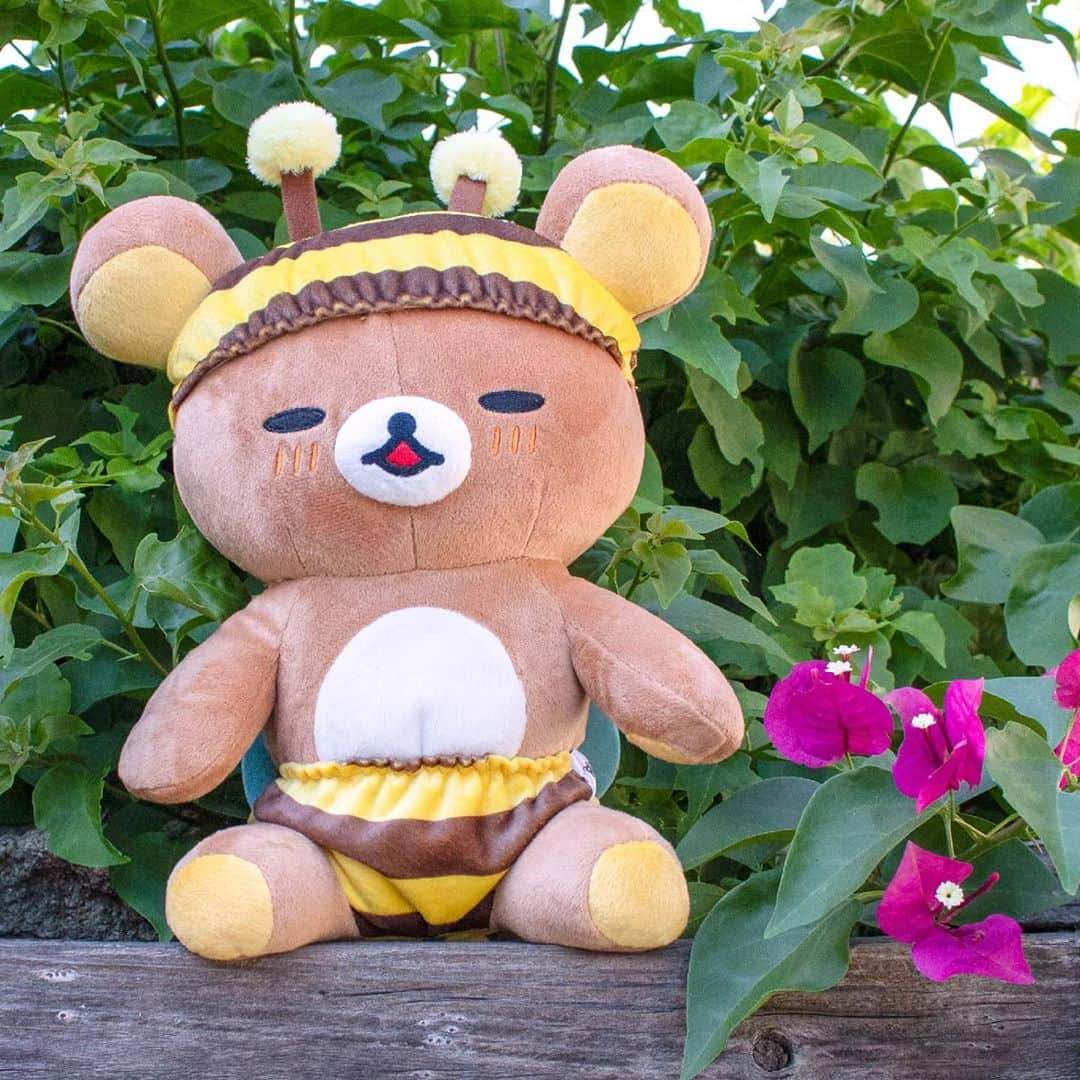 Rilakkuma US（リラックマ）さんのインスタグラム写真 - (Rilakkuma US（リラックマ）Instagram)「Stop and smell the roses with Bee Rilakkuma! 🌹 Find the whole bee collection @jellybeet! . . .  #rilakkumaus #rilakkuma #sanx #plush #kawaii #flowers #bee #toys #リラックマ #サンエックス」9月29日 1時09分 - rilakkumaus