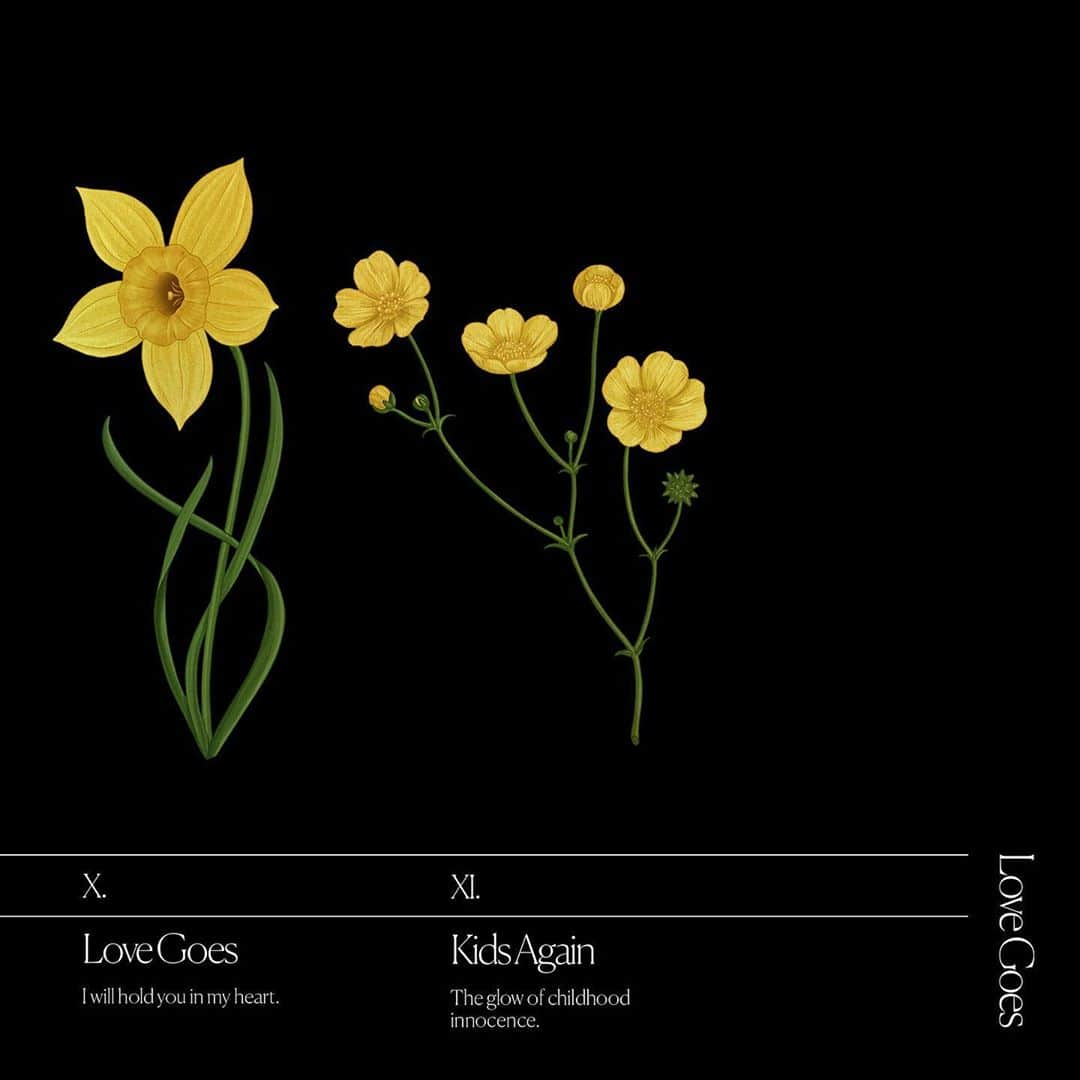 サム・スミスさんのインスタグラム写真 - (サム・スミスInstagram)「I wanted to select a flower to represent each of the tracks on my new album 'Love Goes'... Every flower has a special meaning inspired by the creation and story of a song 🌹🌿」9月29日 1時14分 - samsmith