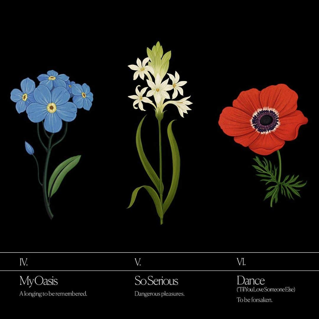 サム・スミスさんのインスタグラム写真 - (サム・スミスInstagram)「I wanted to select a flower to represent each of the tracks on my new album 'Love Goes'... Every flower has a special meaning inspired by the creation and story of a song 🌹🌿」9月29日 1時14分 - samsmith