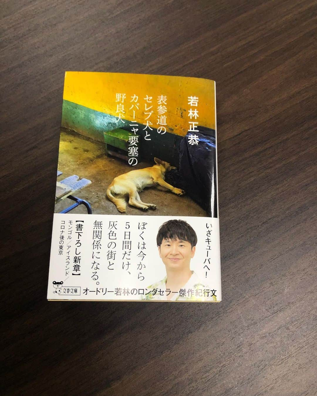 若林正恭 著書「表参道のセレブ犬とカバーニャ要塞の野良犬」さんのインスタグラム写真 - (若林正恭 著書「表参道のセレブ犬とカバーニャ要塞の野良犬」Instagram)「文庫本完成しました 10月7日発売です ネット予約できます。 ′文庫′と書かれた方です。お間違えのないよう。 モンゴルとアイスランド とコロナ後の東京が書下ろしで加筆されています。 解説がDJ松永です。D松のアウトロのおかげで綺麗に帰国できました。  キューバ行ったのもう4年前なんですよね。読み返してたら「こいつ、東京の怪しがり方がしつこいな」と思いました。」9月28日 17時41分 - masayasuwakabayashi