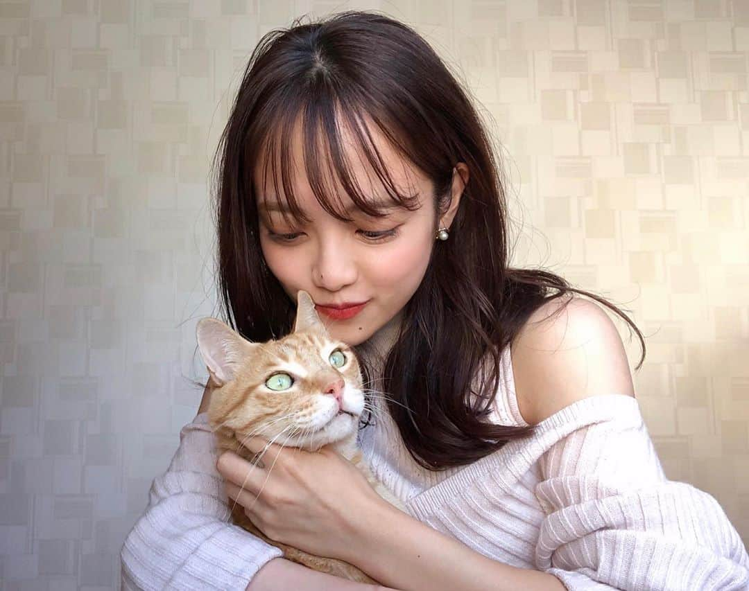 岩本千波さんのインスタグラム写真 - (岩本千波Instagram)「. 我が家のねこ🐈💖」9月28日 17時42分 - chinami_cohina