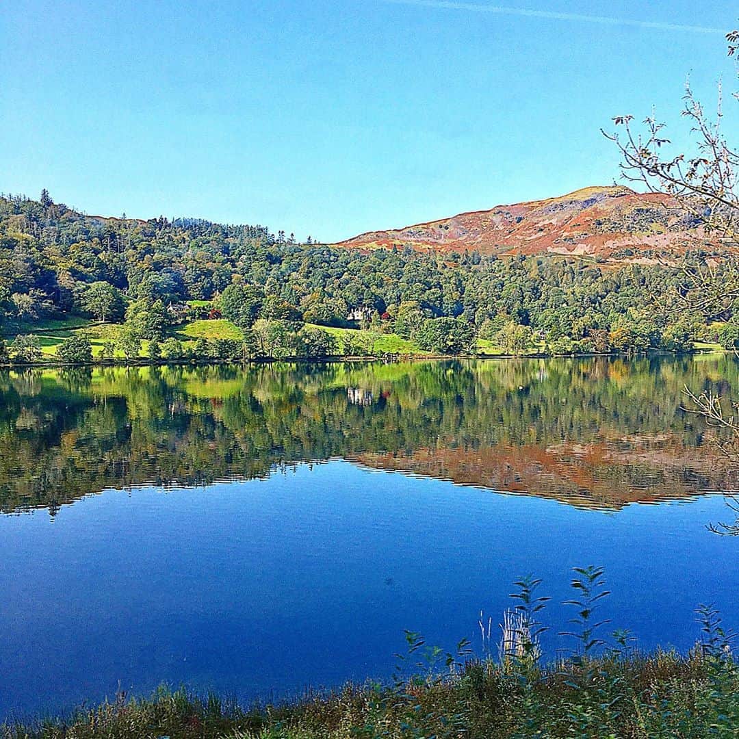 のインスタグラム：「【湖水地方の風景Ⅱ】 (Lake District)  湖の水面に映る景色。 湖ってこんなに綺麗だったんだ。  ちょうど紅葉が始まってた🍁☺️ * * * * * #london #londonlife #londontrip #londondiaries #lakedistrict  #trip #travel #travelphoto #windermere #grasmere #ambleside #keswick  #ロンドン #イギリス　#ロンドン日記　#イギリス旅行　#湖水地方　#旅行 #ウィンダミア　#グラスミア　#アンブルサイド　#ケズウィック #大自然　#湖水地方  #渡辺枝里子」