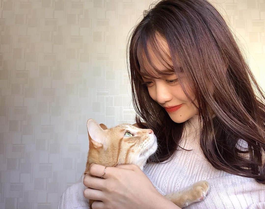 岩本千波さんのインスタグラム写真 - (岩本千波Instagram)「. 我が家のにゃんこ🐈 3匹いるよ✌︎  #にゃんこ#ねこすたぐらむ#ねこのいる生活#猫#猫のいる暮らし#猫好きさんと繋がりたい#トラ猫」9月28日 17時52分 - chinami_cohina
