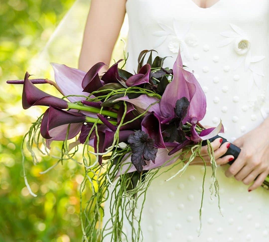 ARCH DAYS Weddingsさんのインスタグラム写真 - (ARCH DAYS WeddingsInstagram)「【今日のコラム】 ﻿大人花嫁さんに大人気。  ”アンスリウム”を使った、ブーケや装花のアイディアをご紹介🌿  _ _ _ _ _ _ _ _ _ _ _ _ _ _ _ _ _ _   カラーによってまったく雰囲気が異なるので、使い方によって主役にも名脇役にもなり、幅広いウェディングテーマで取り入れやすいお花。  今回はおしゃれなものだけ厳選して12個のアイディアをご紹介しています🕊  ブーケや装花のお花を決めかねている花嫁さんは、ぜひご自身のウェディングに取り入れてみてくださいね。  _ _ _ _ _ _ _ _ _ _ _ _ _ _ _ _ _ _  ﻿ ▽記事に飛ぶには ストーリーズからリンクをチェック ﻿ ﻿ -----﻿ ﻿ ﻿ DIYコラムのモデルになってくれる花嫁さんを大募集🤍﻿ ﻿ @archdays_weddings をフォロー＋ #archdays花嫁 をつけて投稿するだけで応募完了！﻿ ﻿ ARCH DAYSのプロフィールブックやウェルカムボードなど、DIYコラムのモデルさんとして、編集部からお声がけをさせていただきます🌼﻿ ﻿ 沢山のご応募お待ちしています♩﻿ ﻿ ﻿ -----﻿ ﻿ ﻿ ▽ARCH DAYSトップページはこちらから☑︎﻿ @archdays_weddings﻿ プロフィールのリンクから﻿ ﻿ ▽KIDS & BABYのパーティーアイディアはこちら☑︎﻿ @archdays﻿ ﻿ ﻿ -----﻿ ﻿ ﻿ ARCH DAYSに会員機能ができました💁‍♀️﻿ ﻿ 気になる記事や写真をクリップして、もっと便利に！自分だけのページを作れます📎﻿ ﻿ また、会員登録をしてマイページからパートナーを招待すれば、2人でイメージを共有可能に♩﻿ ﻿ ﻿ -----﻿ #archdays #archdays_wedding #アーチデイズ #アーチデイズウェディング #アンスリウム #アンスリウムブーケ #アンスリューム #ウェディングブーケ #ブーケ #weddingbouquet #anthurium  #anthuriums #ウエディングブーケ #ウェディング装花 #会場装花 #会場装飾 #ウェディング装飾 #ウェディングドレス #ウエディングドレス #ブーケ迷子 #weddingdress #プレ花嫁 #プレ花嫁2020 #プレ花嫁2021 #プレ花嫁準備 #卒花嫁 #卒花嫁レポ﻿ -----」9月28日 17時54分 - archdays_weddings