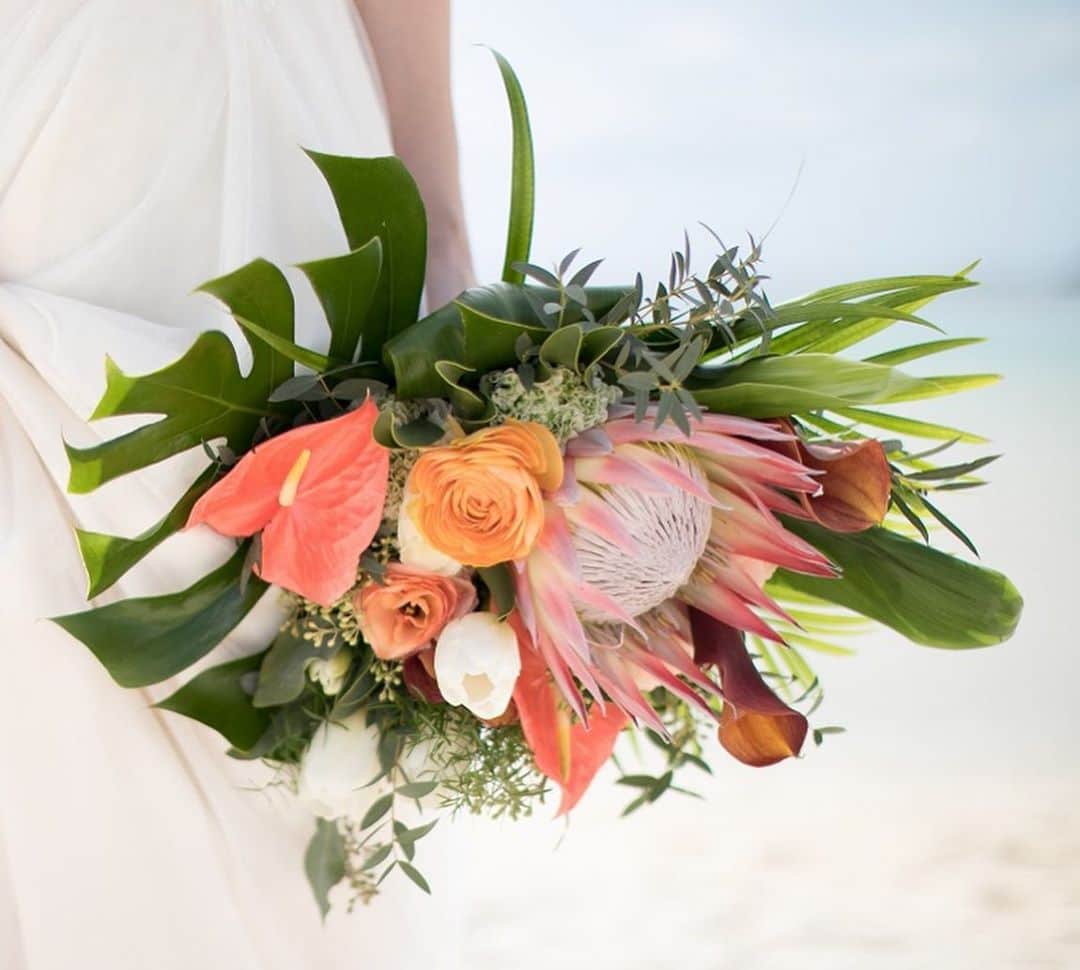 ARCH DAYS Weddingsさんのインスタグラム写真 - (ARCH DAYS WeddingsInstagram)「【今日のコラム】 ﻿大人花嫁さんに大人気。  ”アンスリウム”を使った、ブーケや装花のアイディアをご紹介🌿  _ _ _ _ _ _ _ _ _ _ _ _ _ _ _ _ _ _   カラーによってまったく雰囲気が異なるので、使い方によって主役にも名脇役にもなり、幅広いウェディングテーマで取り入れやすいお花。  今回はおしゃれなものだけ厳選して12個のアイディアをご紹介しています🕊  ブーケや装花のお花を決めかねている花嫁さんは、ぜひご自身のウェディングに取り入れてみてくださいね。  _ _ _ _ _ _ _ _ _ _ _ _ _ _ _ _ _ _  ﻿ ▽記事に飛ぶには ストーリーズからリンクをチェック ﻿ ﻿ -----﻿ ﻿ ﻿ DIYコラムのモデルになってくれる花嫁さんを大募集🤍﻿ ﻿ @archdays_weddings をフォロー＋ #archdays花嫁 をつけて投稿するだけで応募完了！﻿ ﻿ ARCH DAYSのプロフィールブックやウェルカムボードなど、DIYコラムのモデルさんとして、編集部からお声がけをさせていただきます🌼﻿ ﻿ 沢山のご応募お待ちしています♩﻿ ﻿ ﻿ -----﻿ ﻿ ﻿ ▽ARCH DAYSトップページはこちらから☑︎﻿ @archdays_weddings﻿ プロフィールのリンクから﻿ ﻿ ▽KIDS & BABYのパーティーアイディアはこちら☑︎﻿ @archdays﻿ ﻿ ﻿ -----﻿ ﻿ ﻿ ARCH DAYSに会員機能ができました💁‍♀️﻿ ﻿ 気になる記事や写真をクリップして、もっと便利に！自分だけのページを作れます📎﻿ ﻿ また、会員登録をしてマイページからパートナーを招待すれば、2人でイメージを共有可能に♩﻿ ﻿ ﻿ -----﻿ #archdays #archdays_wedding #アーチデイズ #アーチデイズウェディング #アンスリウム #アンスリウムブーケ #アンスリューム #ウェディングブーケ #ブーケ #weddingbouquet #anthurium  #anthuriums #ウエディングブーケ #ウェディング装花 #会場装花 #会場装飾 #ウェディング装飾 #ウェディングドレス #ウエディングドレス #ブーケ迷子 #weddingdress #プレ花嫁 #プレ花嫁2020 #プレ花嫁2021 #プレ花嫁準備 #卒花嫁 #卒花嫁レポ﻿ -----」9月28日 17時54分 - archdays_weddings
