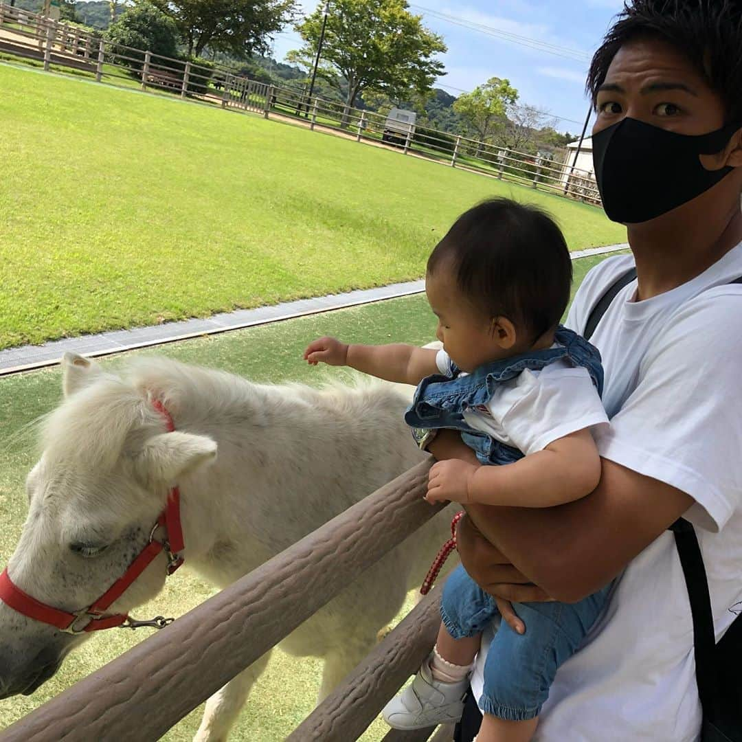 澤上竜二さんのインスタグラム写真 - (澤上竜二Instagram)「今回のオフは野間馬ハイランド！ 馬もいて公園もあっていい感じ。  #今治#野間馬#ハイランド#馬#モルモット#公園#乗馬#25Kgまで#残念」9月28日 18時18分 - sawakami.ryuji