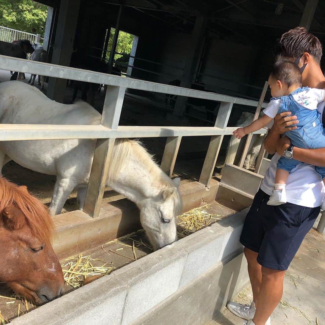 澤上竜二さんのインスタグラム写真 - (澤上竜二Instagram)「今回のオフは野間馬ハイランド！ 馬もいて公園もあっていい感じ。  #今治#野間馬#ハイランド#馬#モルモット#公園#乗馬#25Kgまで#残念」9月28日 18時18分 - sawakami.ryuji