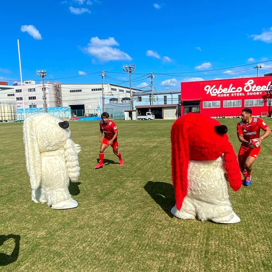 山中亮平さんのインスタグラム写真 - (山中亮平Instagram)「2021年のトップリーグの日程も発表されていよいよラグビーのシーズンが来ましたよー🏉🔥 昨シーズンの盛り上がりを2021年もみたい！ ファンの皆さんの期待に応えれる様に選手も全力で頑張ります！ とりあえず5枚目の写真でレンジー抜いときました😏笑 みんなで盛り上げていきましょう💪 . . . #kobelcosteelers  #トップリーグ2021 #レンジー #あの熱狂をもう一度」9月28日 18時28分 - yamanaka10