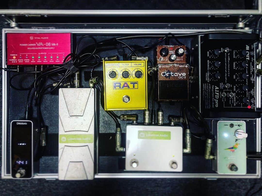 森田悠介さんのインスタグラム写真 - (森田悠介Instagram)「Pedal board 2.0 #pedalboard #RAT #albit #tube #preamp #a1fdpro #limetoneaudio #bass #bassplayer #OC2 ボードは組まねぇってあれほど…」9月28日 19時02分 - yusukemorita_bass