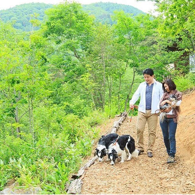 わんわんパラダイスのインスタグラム：「安曇野わんわんパラダイスコテージの敷地内では北アルプスや常念岳を望むことができます🐶🌳 これからのシーズンは紅葉もお楽しみいただけますよ⛰🍁 大自然に抱かれながらお散歩をお楽しみください😊✨  #わんわんパラダイス #わんこ #犬がいる生活 #おでかけ #犬 #わんこは家族 #わんこカメラ部 #わんこと旅行 #癒し犬#dogs #犬好きさんと繋がりたい #犬バカバンザイ #わんこと泊まれる宿 #犬バカ部 #いぬすたぐらむ #ふわもこ部 #gotoキャンペーン #gotoトラベルキャンペーン #愛犬 #リゾート #わんパラハッピー」