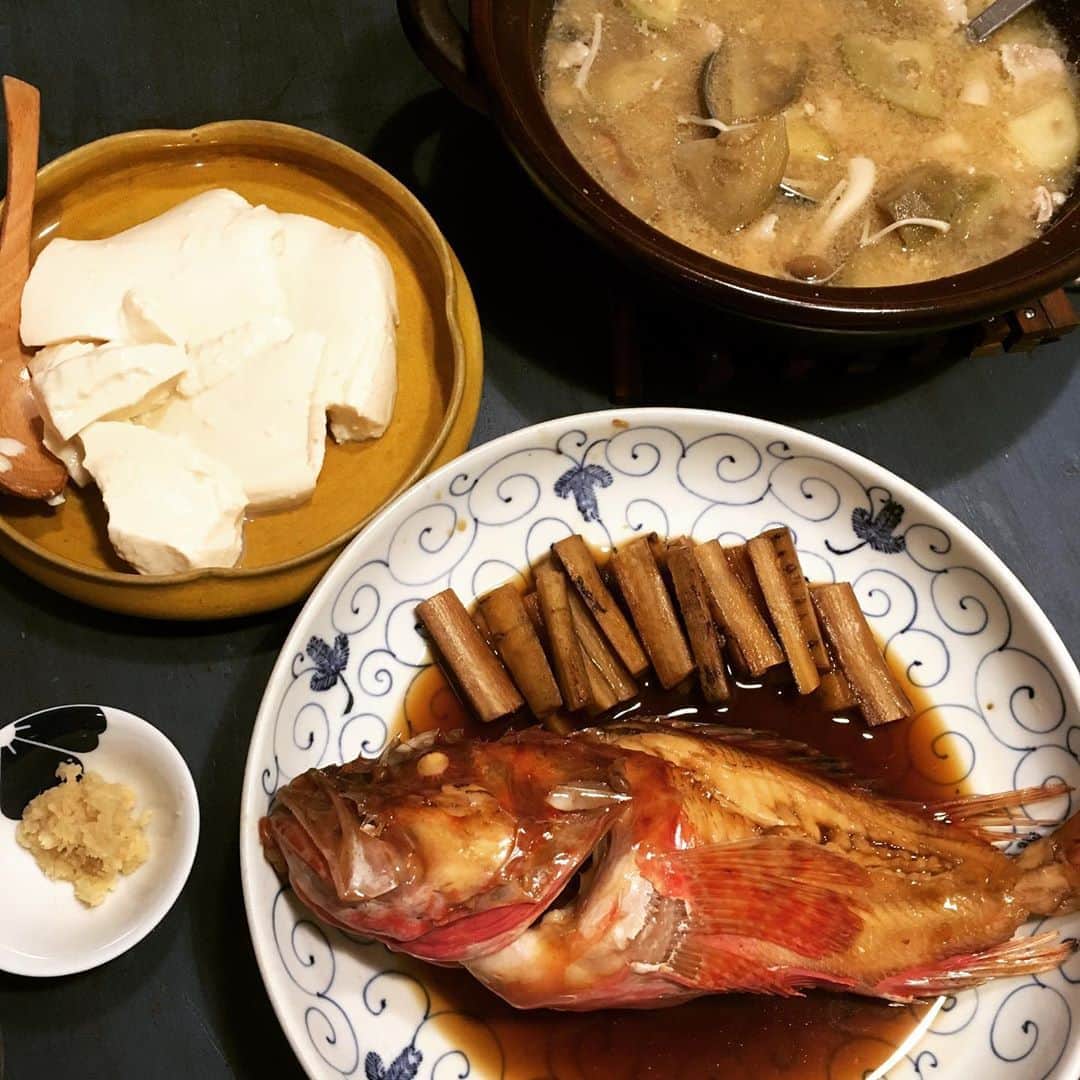井上荒野のインスタグラム：「カサゴを煮ました。猫と夫にむしってあげるのに忙しかった…」