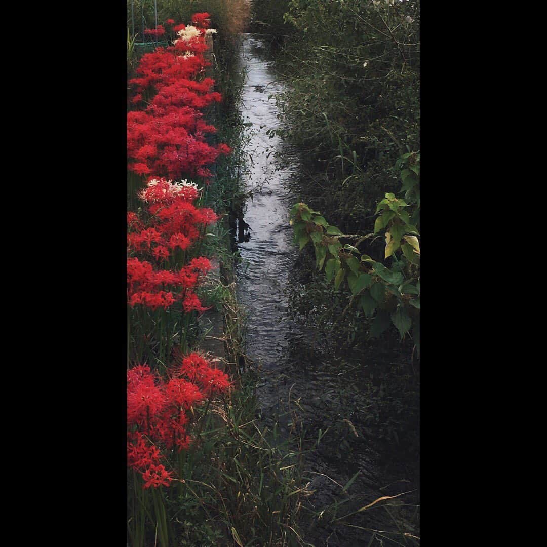 sunday_722のグルメインスタ