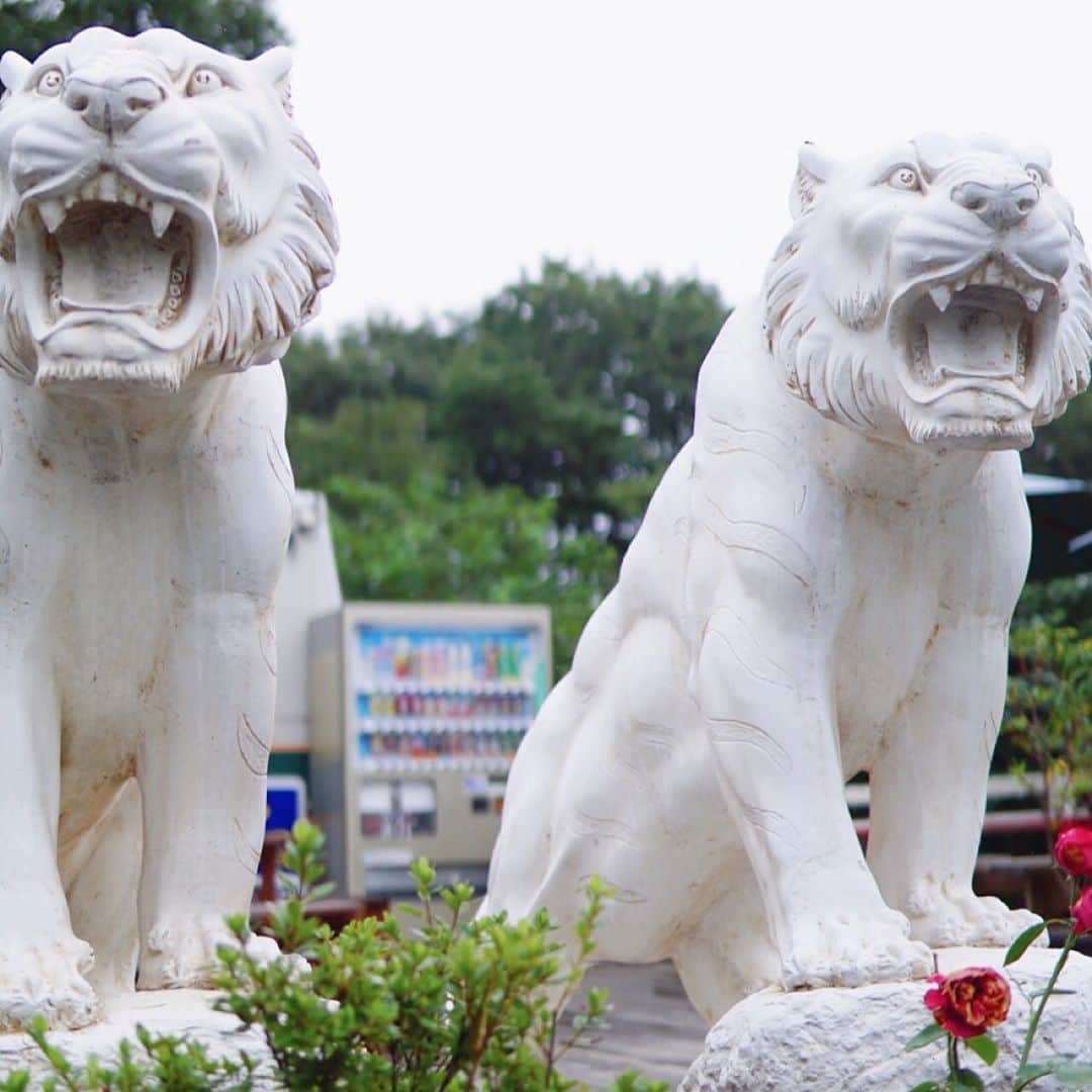 結さんのインスタグラム写真 - (結Instagram)「いつかの石像🦁  I don't know what is this. I think that these are Lion. Gaoh〜笑  #camera  #sony  #α5100  #カメラ好き #石像 #ライオン #ゆいまる写真部」9月28日 21時07分 - sing.yui.0318