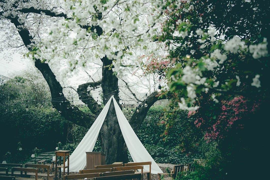 ラクラリエールのグルメインスタ