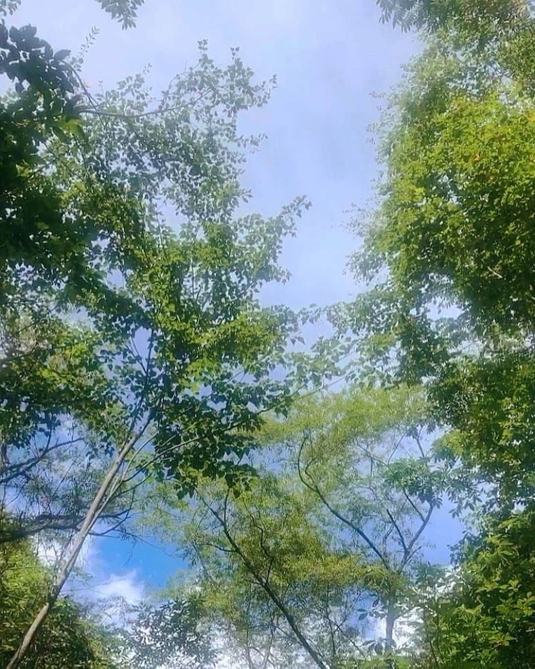 カン・ハンナのインスタグラム：「・﻿ ﻿ ﻿ 秋に良いお知らせが来ました。﻿ ﻿ ﻿ 光栄です。心から尊敬している栗木京子先生にご推薦を頂き、現代歌人協会からの入会ハガキが届きました。ありがとうございます。﻿ ﻿ ﻿ 今私は歌人の先生たちからたくさんの応援を頂いていることに感謝しかありません。歌人としての一歩一歩を大事に歩みます。それこそが本当の恩返しだと思います。﻿ ﻿ ﻿ ﻿ ﻿ ﻿ #良い風　#良い空　#良いお知らせ﻿ #現代歌人協会　#入会させて頂きます﻿ #명예로운한걸음을또내밉니다 ﻿ ﻿ ﻿」