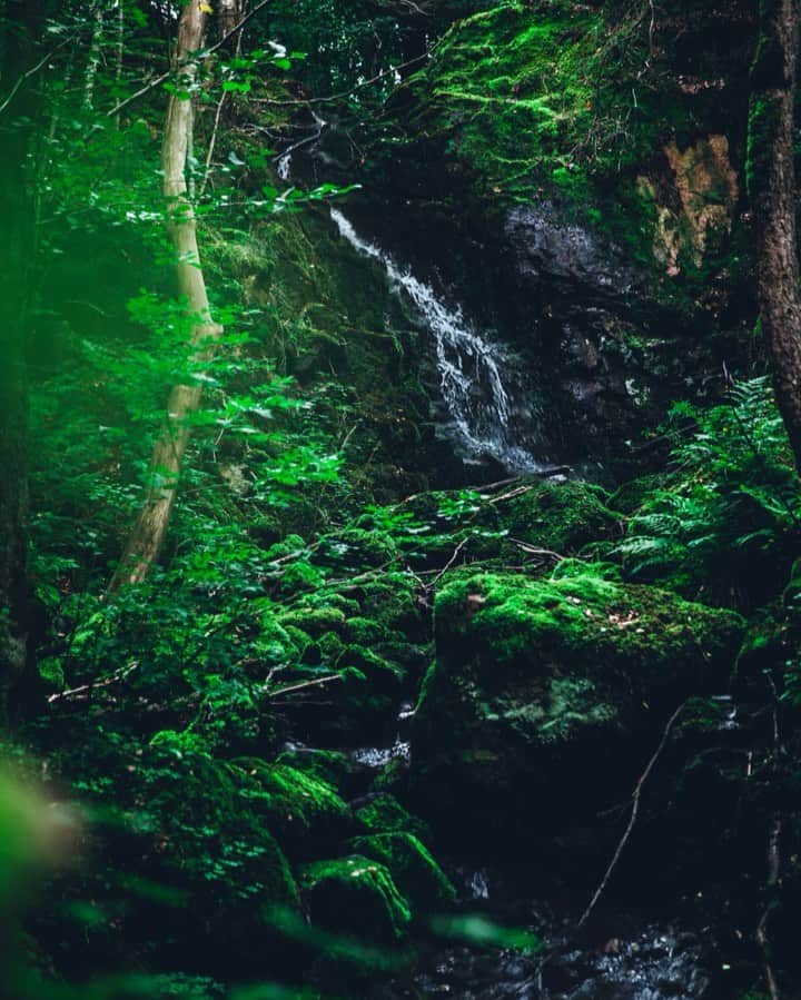 Linda Lomelinoのインスタグラム：「In paid collaboration with @visitlaholm ✨First of all, thank you SO much for all your sweet birthday wishes yesterday. I had a fantastic day! I’d like to share  some more photos from beautiful Laholm with you today. First is a waterfall called #hälleforsen, which was kind of hard to find at first but I’ve shared directions in the guide 🤗 The other places are two other favorites, #kvarnfalletiknäred and the quaint Old town  #gamlebylaholm 💚 You can find the full guide on my blog, callmecupcake.se or through the link in my profile!  #visitlaholm」