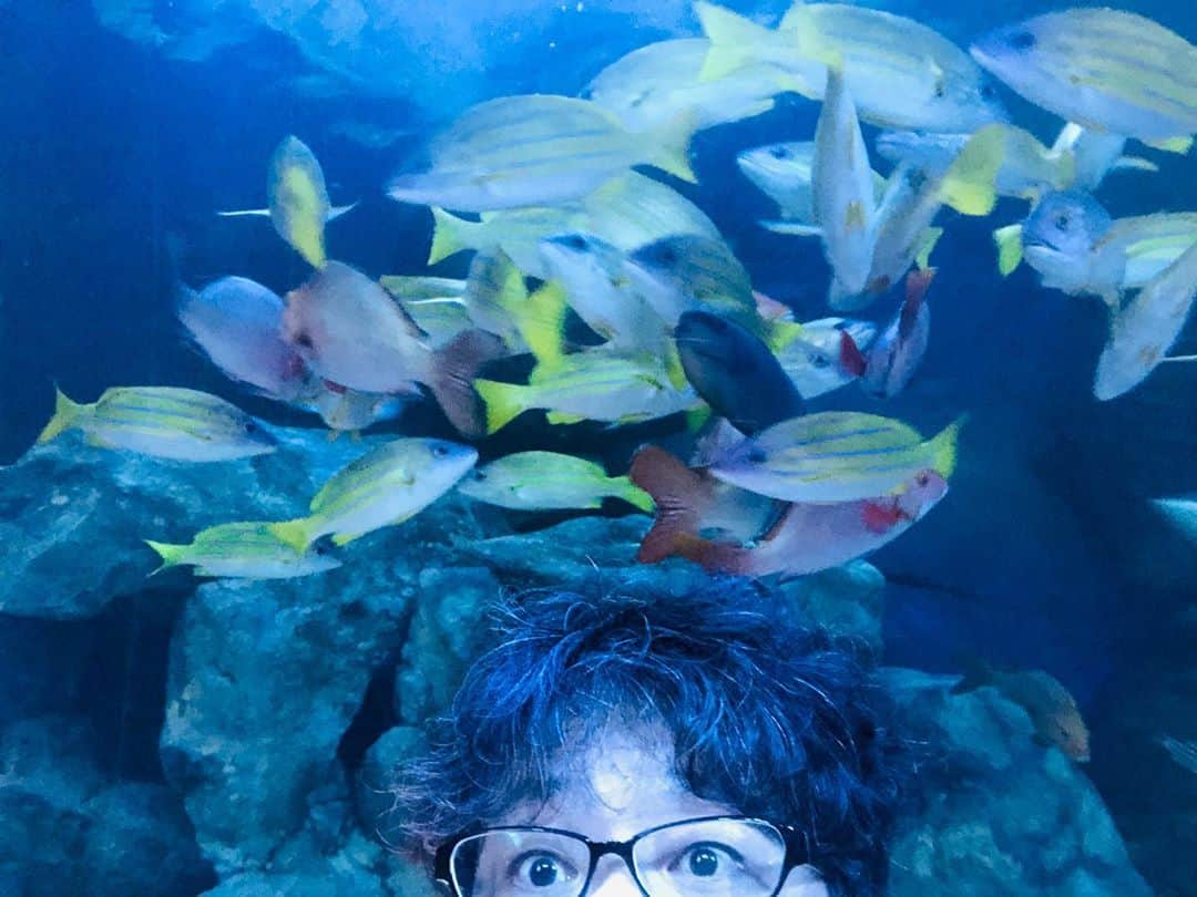 辻本耕志さんのインスタグラム写真 - (辻本耕志Instagram)「水族館で癒されて、鰻屋で満腹。こんなの何ヶ月ぶりだろうか？刺激を有難う。 #しながわ水族館　#ひょうたん屋」9月28日 21時33分 - tsujimotokouji