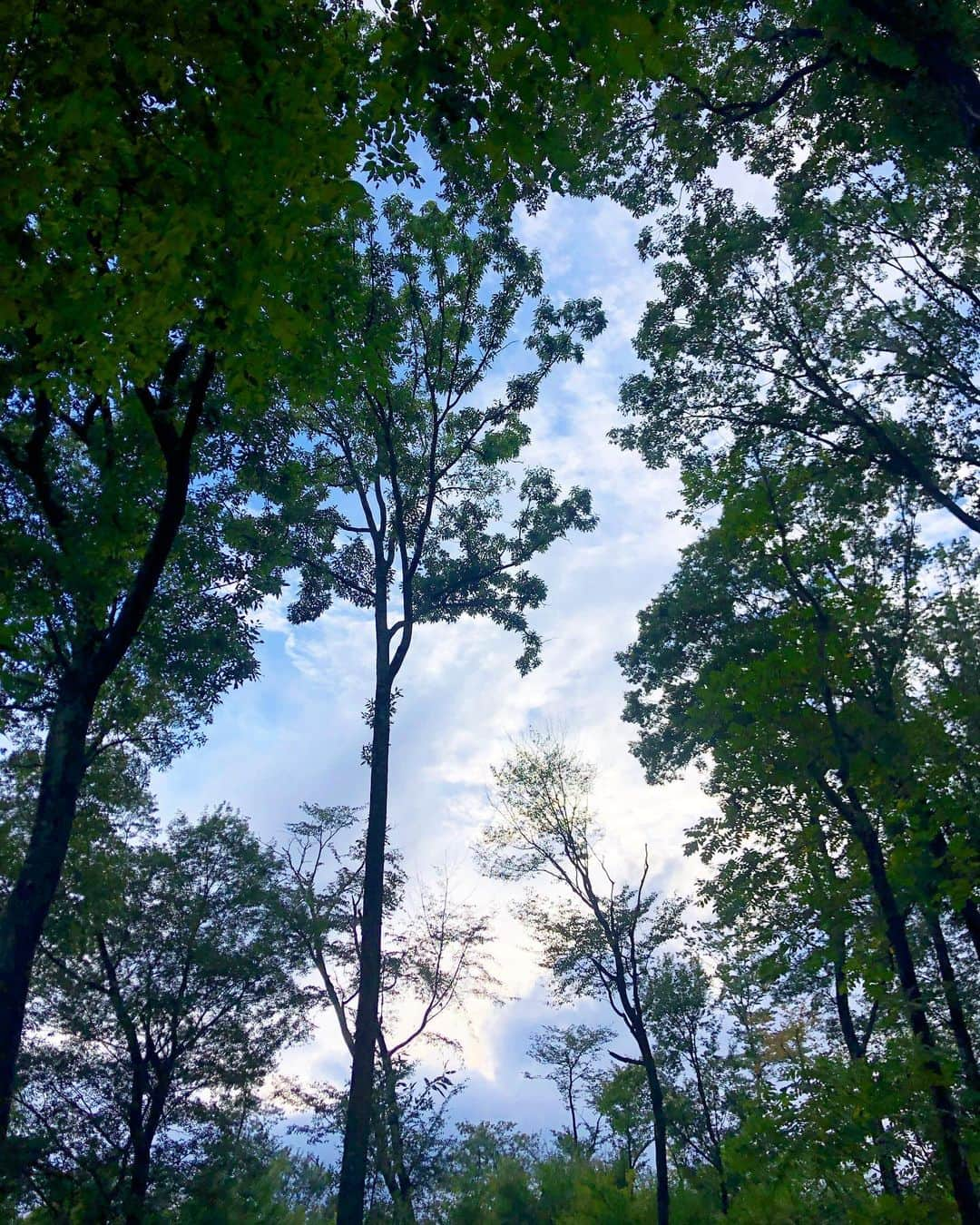 渡辺梨夏子さんのインスタグラム写真 - (渡辺梨夏子Instagram)「向き合わなきゃいけないことが沢山あるけど。がんばる理由を、ありがとうございました🍎感謝の気持ちでいっぱい！また来年も来られるといいな〜🍃  #りんご音楽祭#ringofes #three1989#浪漫革命 #カネコアヤノ#stuts  #鎮座dopeness #haveaniceday  #むぎ猫#kansano #nobodyknows #yonawo #nabowa#mononoaware  #オカモトレイジ  #サニーデイサービス  #kickashow#oliveoil」9月28日 21時38分 - riiiico462