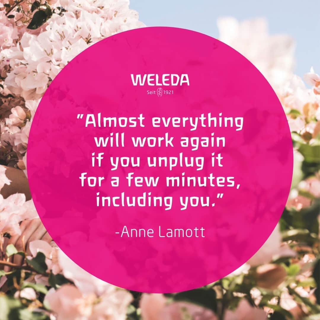 Weledaのインスタグラム：「So important! ✨What’s your favorite way to unplug? Leave a comment! #Quoteoftheday」