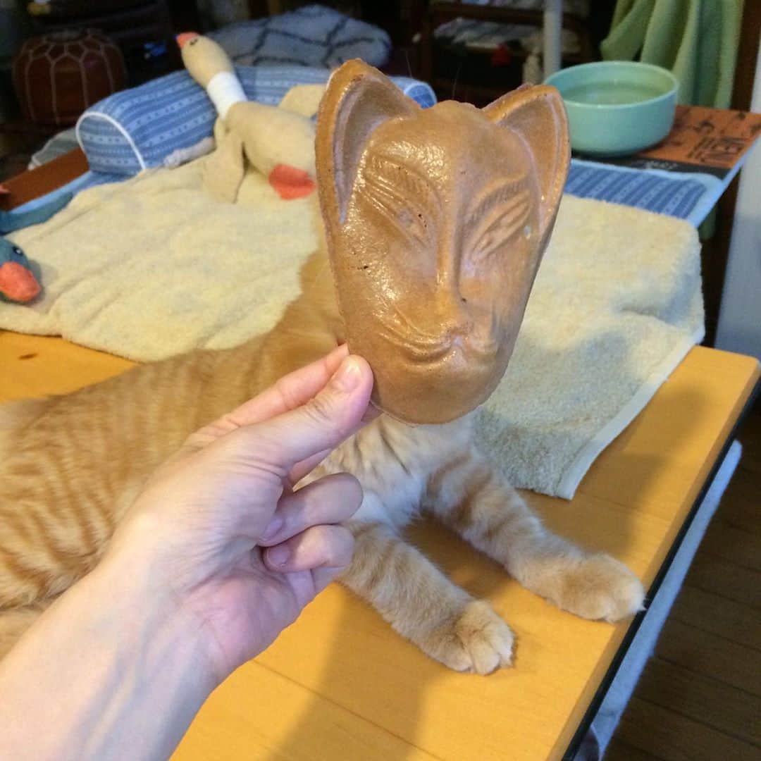 岡田屋鉄蔵のインスタグラム：「京都土産に珍しいお煎餅頂きました。ちょいと怖い(^_^;) でも味噌味が美味しい( ^ω^ )  ハムさんは初めての蝶ネクタイ。なかなか似合ってますな！」