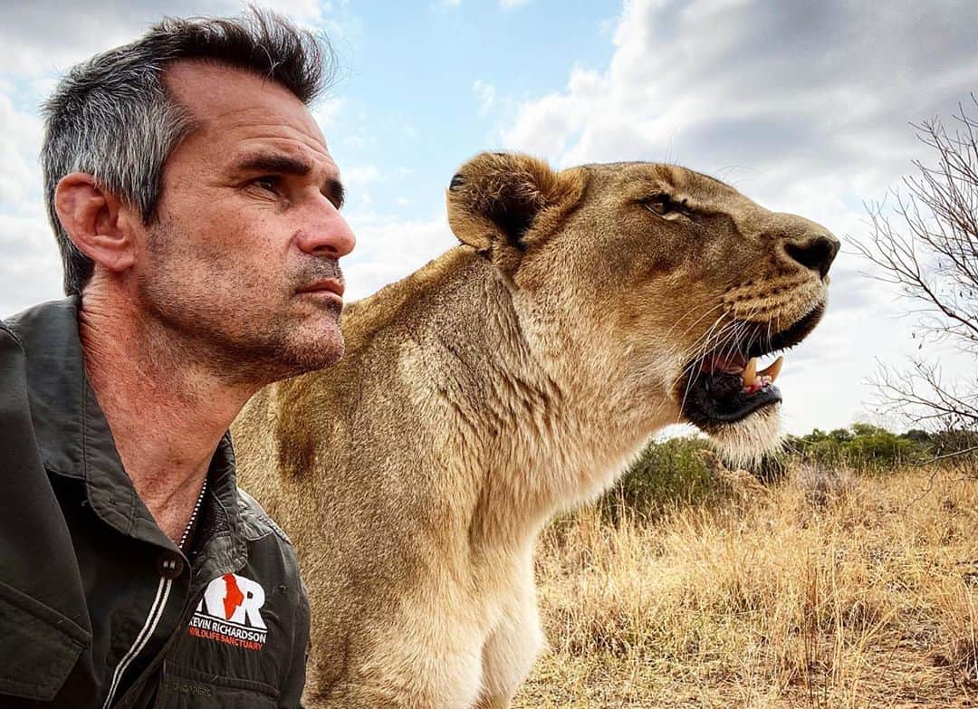 Kevin Richardson LionWhisperer さんのインスタグラム写真 - (Kevin Richardson LionWhisperer Instagram)「This week, ‘Don’t be pushed around by the fears in your mind. Be led by the dreams in your heart’. Roy T. Bennett」9月28日 22時33分 - lionwhisperersa