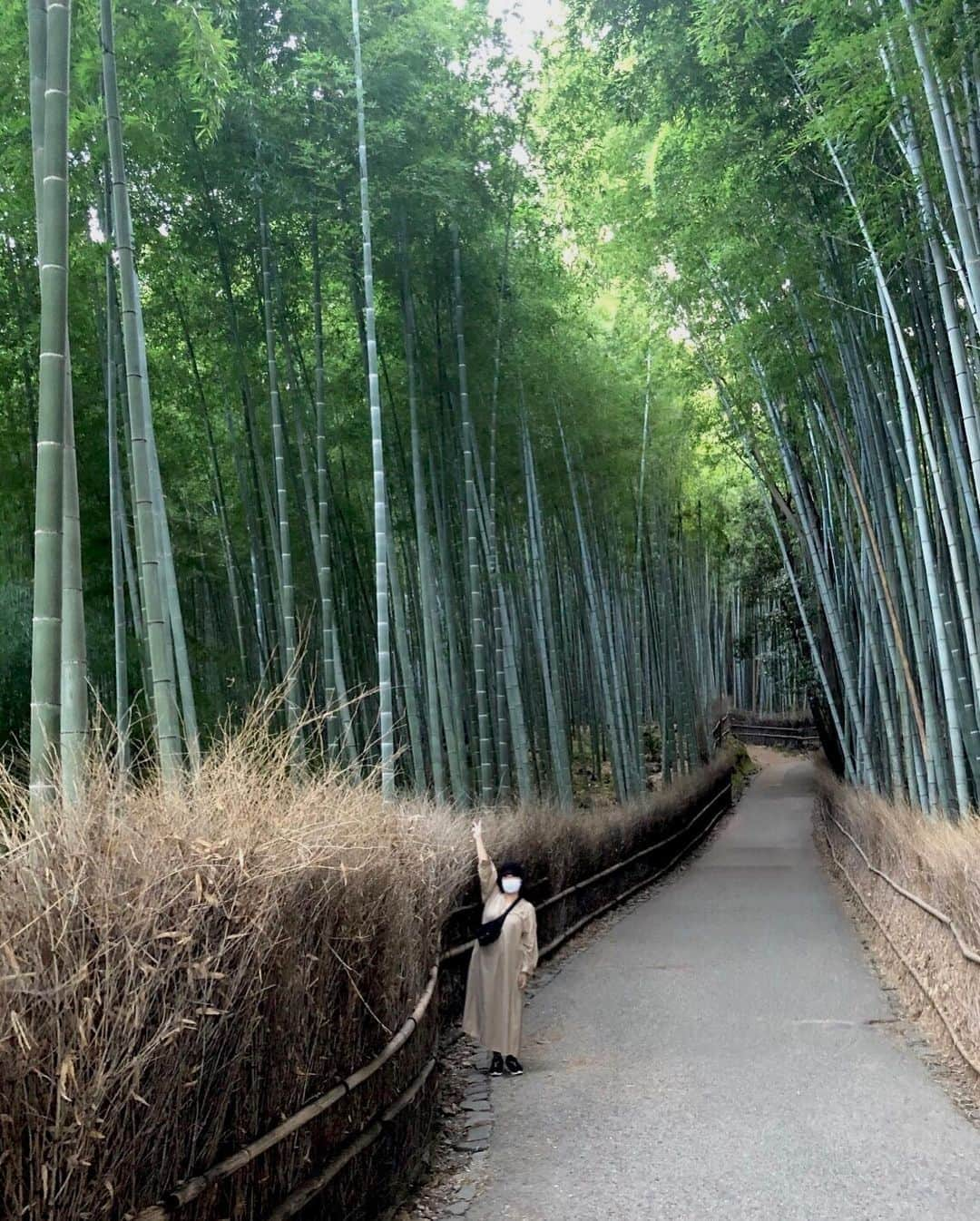 海原やすよさんのインスタグラム写真 - (海原やすよInstagram)「嵐山🍂」9月28日 22時45分 - yasuyo_unabara