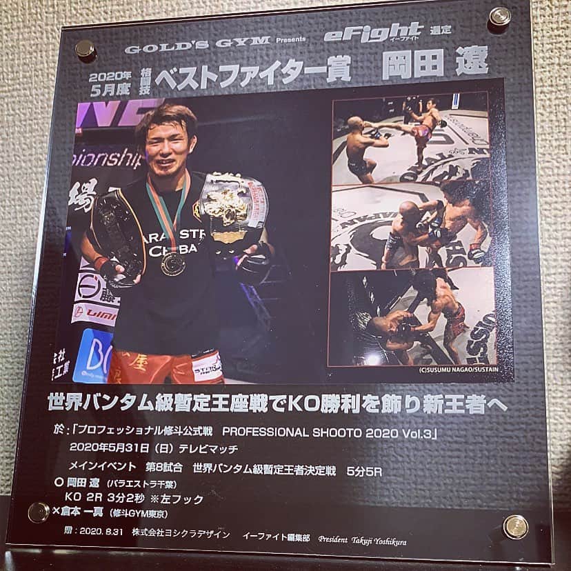 岡田遼のインスタグラム：「道場に記念盾届きました！ 色々いるなか選んでもらえて嬉しい #THE #efight #goldgym」