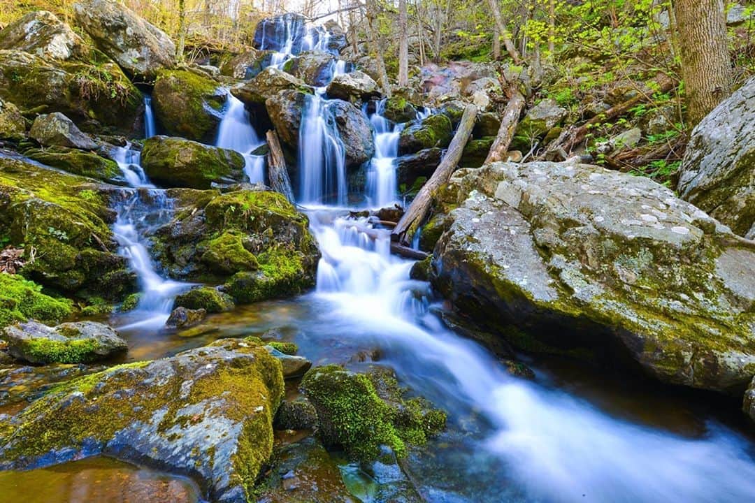 Lonely Planetのインスタグラム：「The Northeast US is a haven for day-trippers.  🚗New York City is the gateway to a constellation of escapes to beaches, mountains, historic sites, pretty villages and more.   🚗Almost half of New England is within easy distance of Boston, from the cow-dotted hills to the tumbling gray seas of Maine.   🚗From Washington DC , head south to Virginia for syrupy-paced country life, west to the Appalachian mountains, north to bustling Philadelphia, or east to the Maryland shore for seaside escapes.  Tap the link in our bio to find all the details for taking your own trip out of the city.」