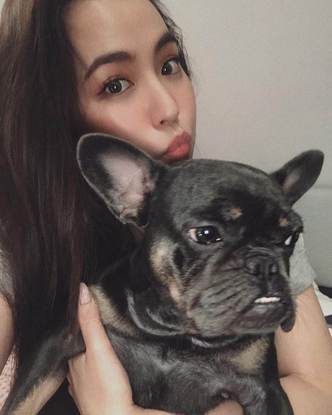 アリッサのインスタグラム：「yooooon se-riiiiiiiii (she can’t keep still) 🖤 #awissadogz x」