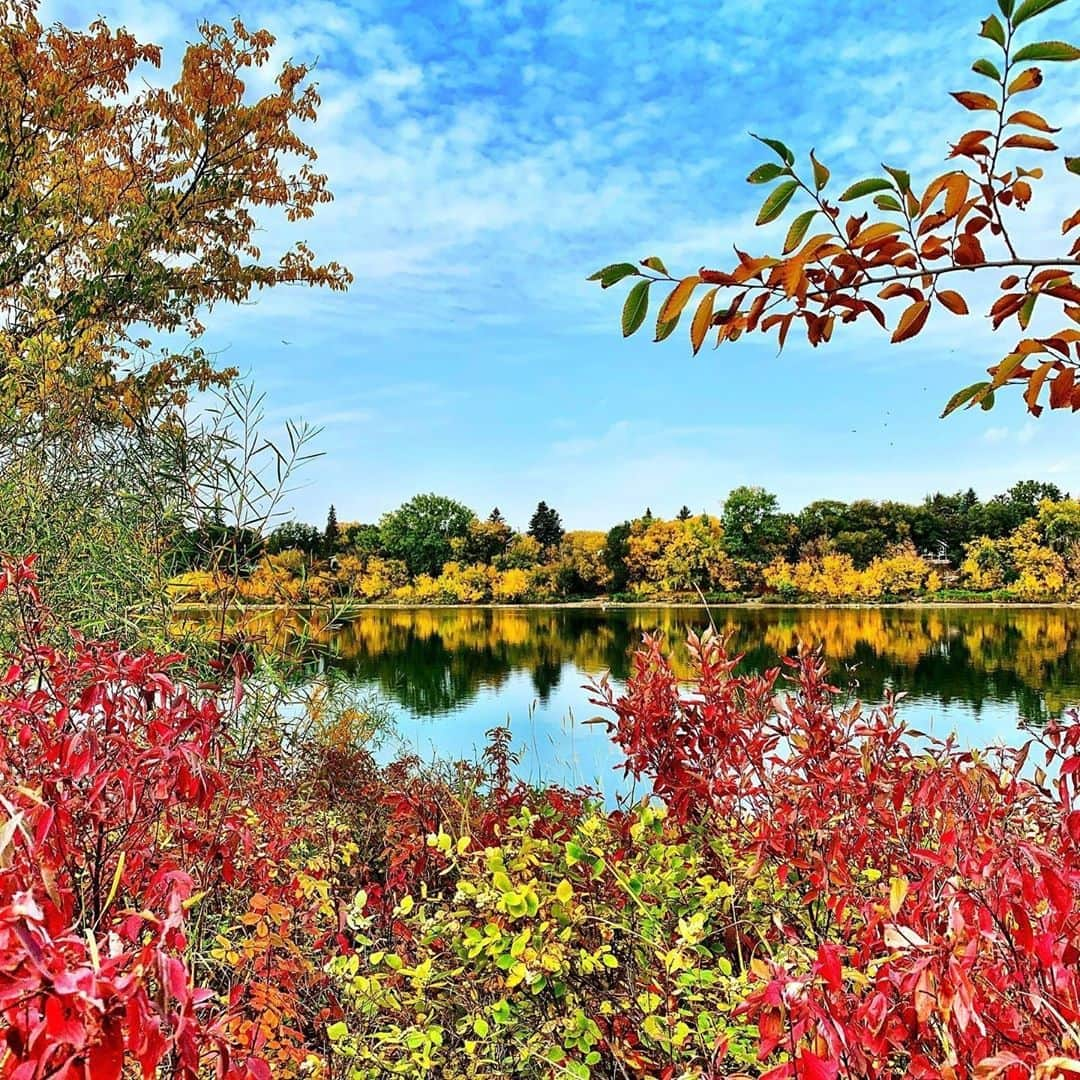 Explore Canadaさんのインスタグラム写真 - (Explore CanadaInstagram)「One of our favourite ways to enjoy the beauty of fall is by getting outside in the fresh air and walking amongst the fallen leaves, camera at the ready! ⁠ .⁠ Tell us: where are your favourite places to enjoy this colourful season in Canada? 🍁 Share your favourite spots and tips below and we’ll feature your top recommendations in our next #CanadaSpotlight feature! ⁠ ⁠ #ExploreCanada⁠ ⁠ *Know before you go! Check the most up-to-date travel restrictions and border closures before planning your trip.*⁠ ⁠ 📷: @kdanielsson528⁠ 📍: @visitsaskatoon, @tourismsask⁠ ⁠ #Saskatooning #ExploreSask⁠」9月29日 0時01分 - explorecanada