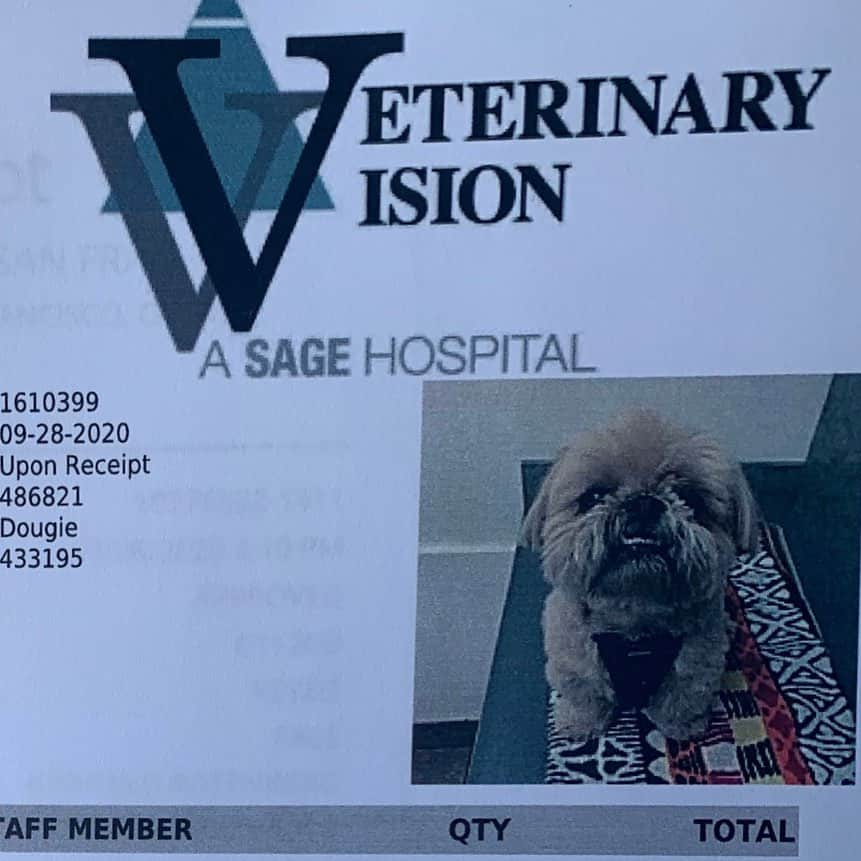 Dougie the Shih Tzuさんのインスタグラム写真 - (Dougie the Shih TzuInstagram)「Well folks, poor Dougie has another corneal ulcer, and this one is much worse than the last one.  Our regular vet was able to get us an appointment today with a specialist in San Francisco. Dougie is on new meds, and they are going to re-evaluate him early Wednesday morning. If there isn’t significant improvement, however, they will perform surgery. Keep your fingers crossed for him, and I will definitely keep you posted. ❤️」9月29日 9時31分 - dailydougie