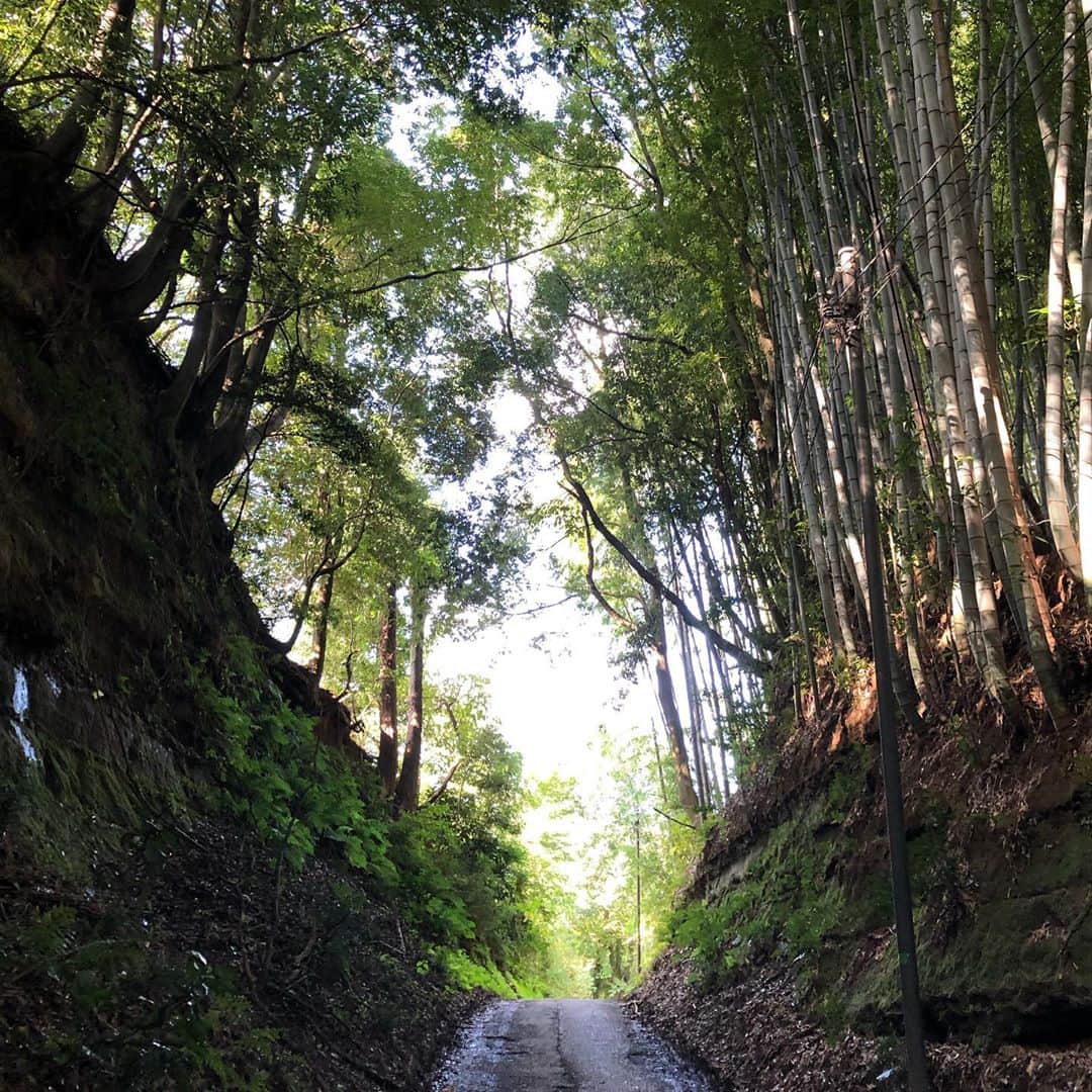 櫻井リヤのインスタグラム：「トトロが出てきそうだけど東京　#町田市」