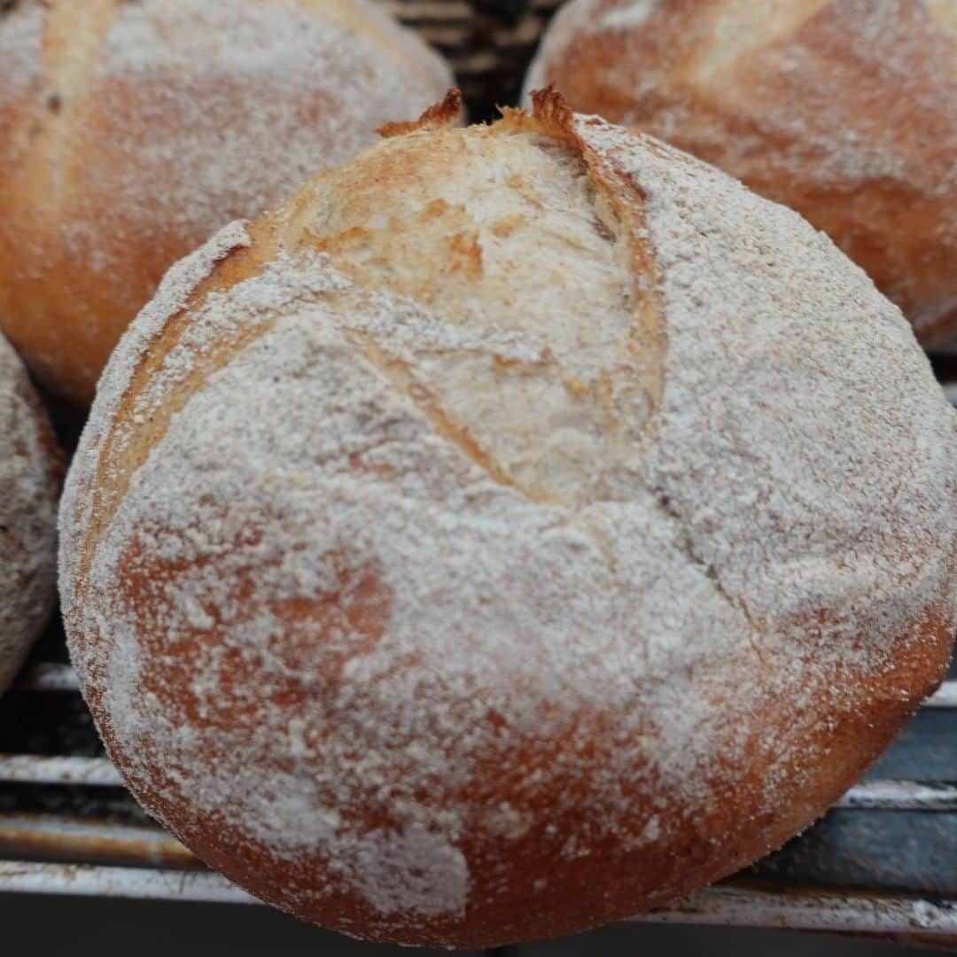 魔女菅原のグルメインスタ