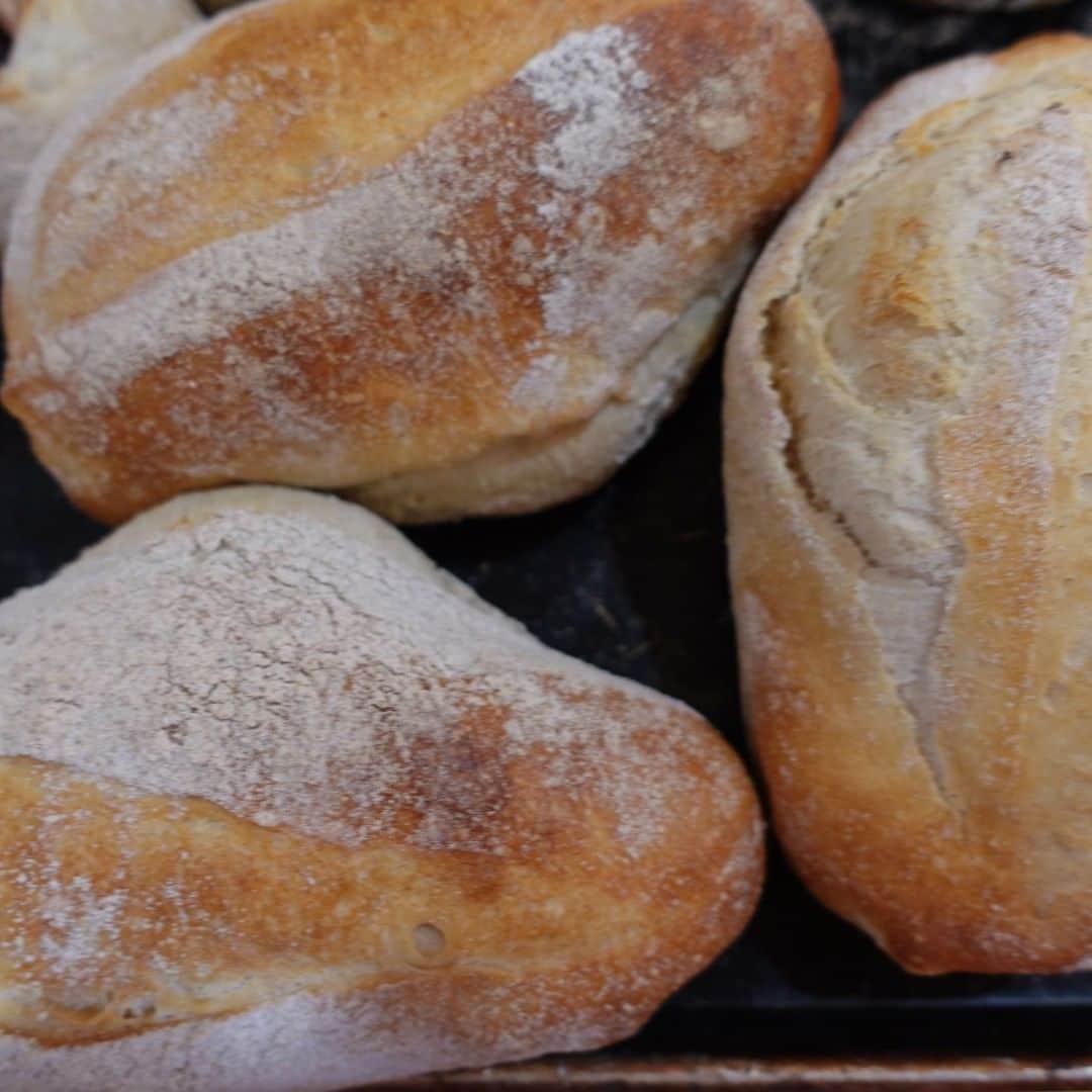 魔女菅原のグルメインスタ