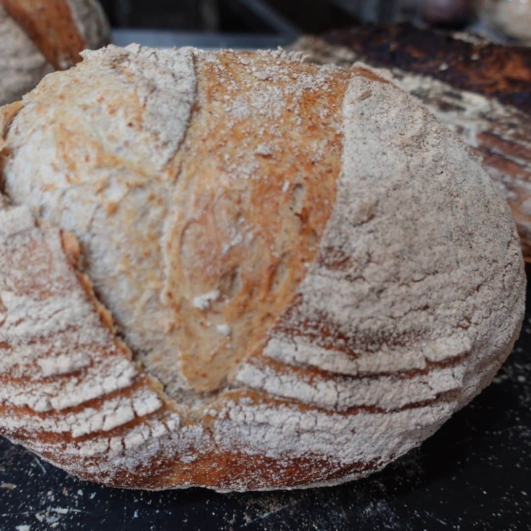 魔女菅原のグルメインスタ